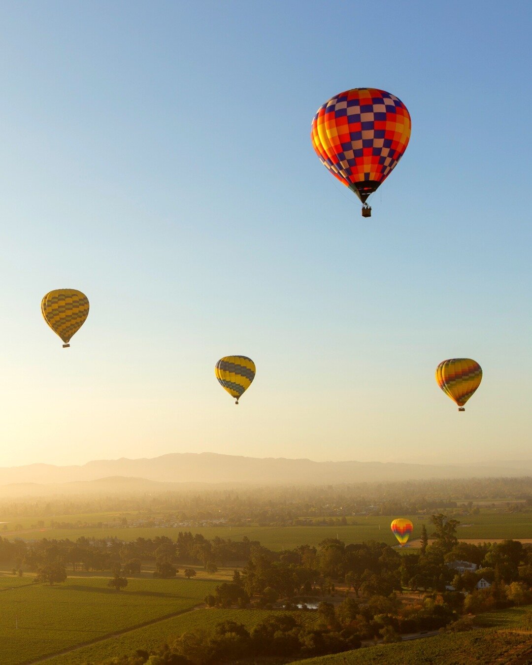 Up, up, and away! Taking the ultimate #NapaValley adventure with a hot air balloon ride soaring above the vineyards, capturing epic views, and making memories that will last a lifetime. #BalloonOverNapa #SkyHighFun #UnforgettableViews #CulturedVine #