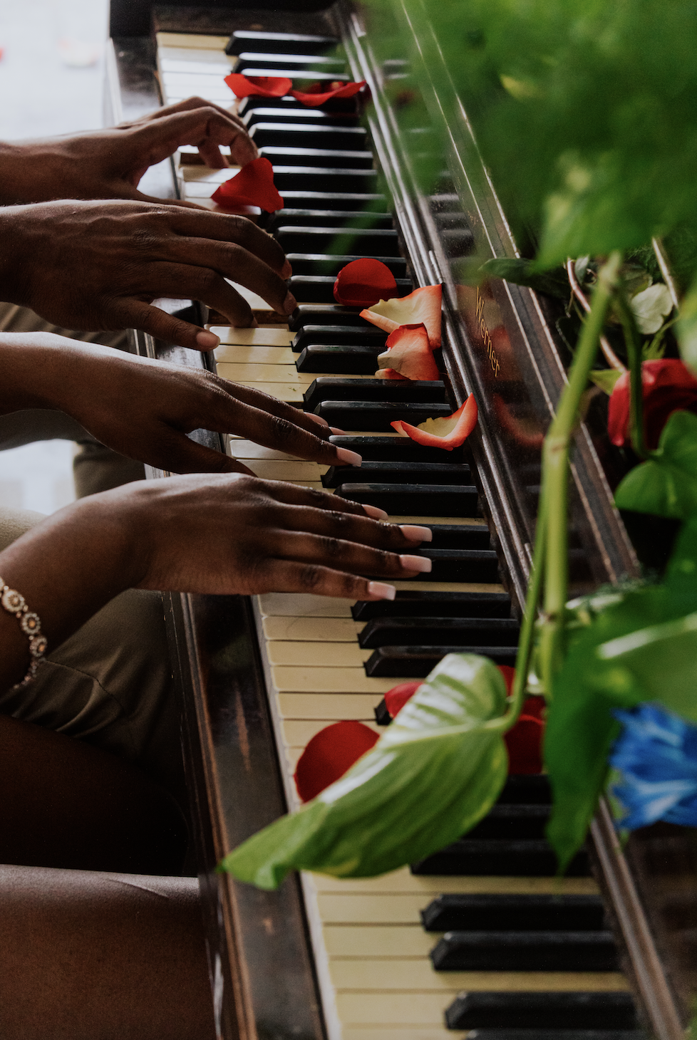 Screen Shot 2021-10-06 at 7.06.36 PM.png