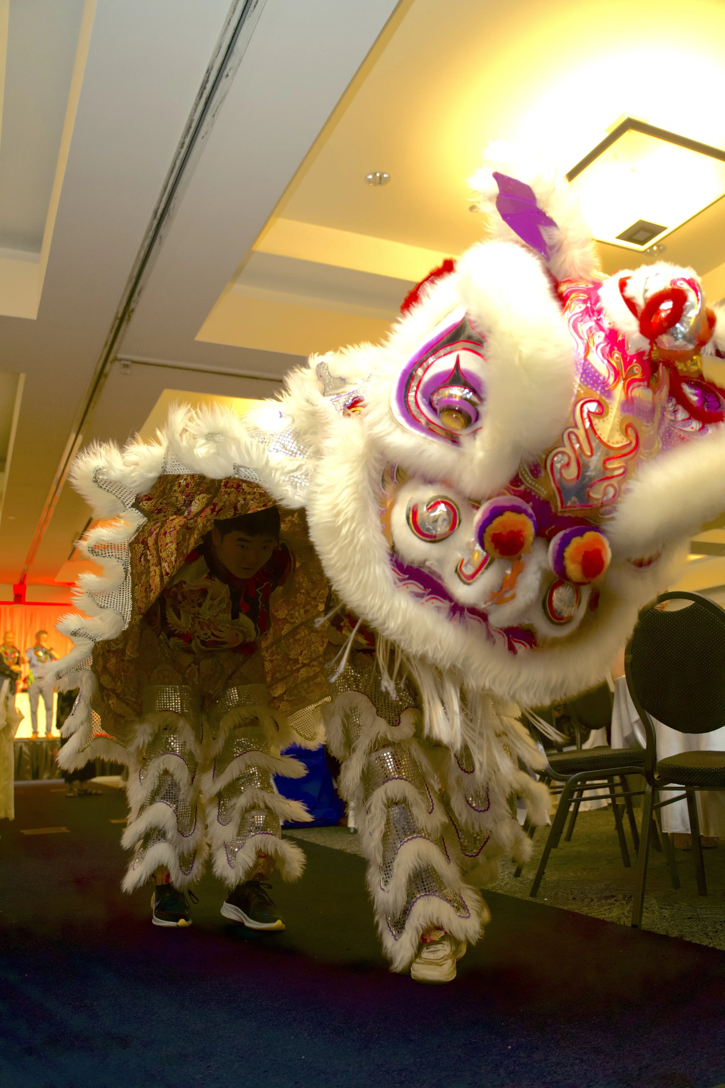 Lion Dance 21.jpg