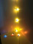 Coloured Bulbs