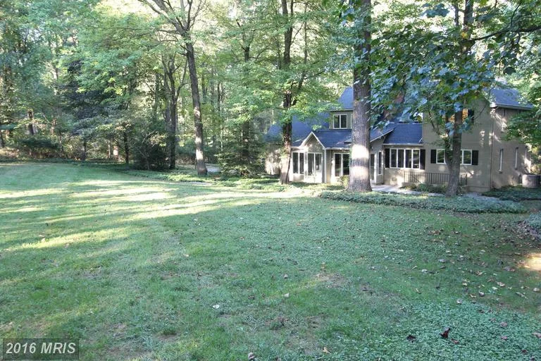 Back Yard.jpeg