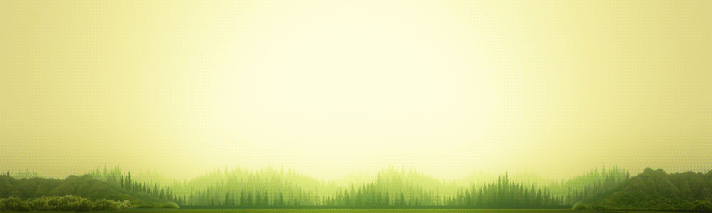 v3r1000x300fps30c256p.gif