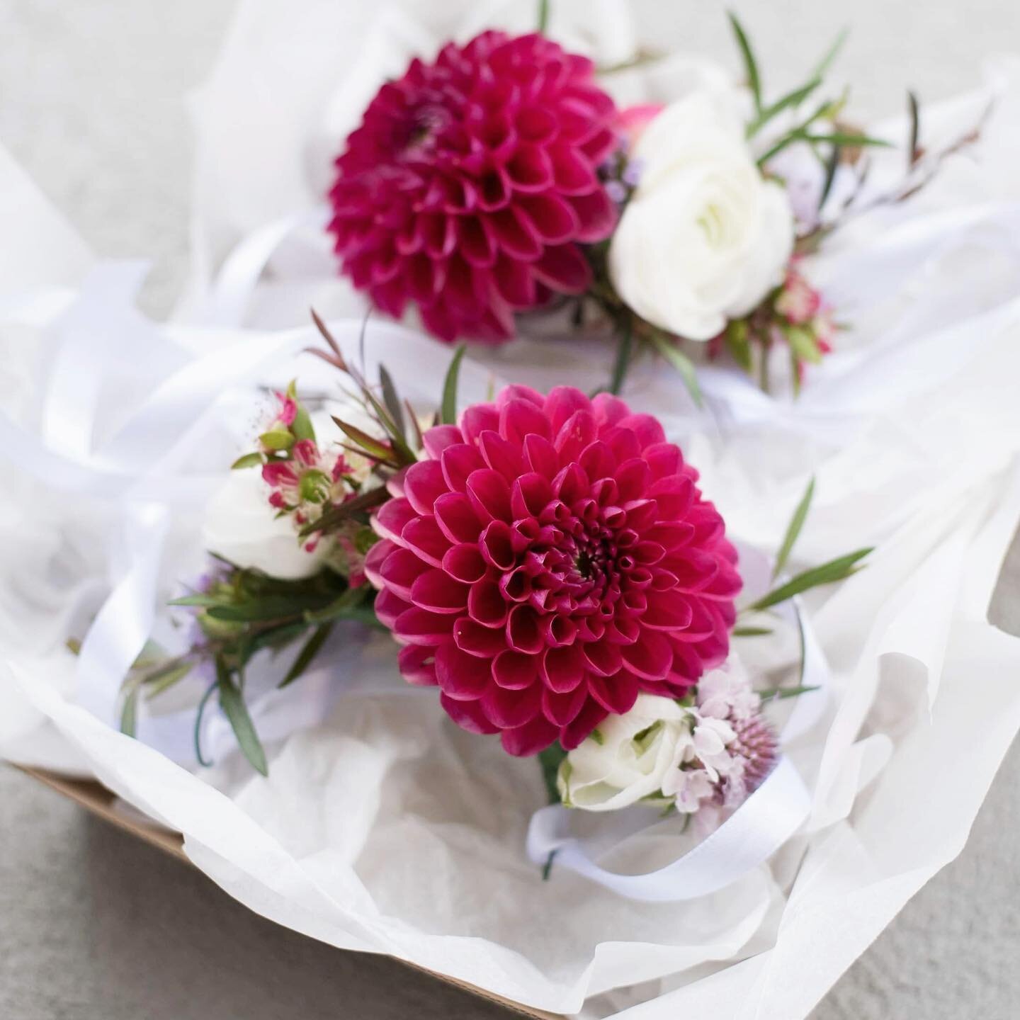 Dahlia corsages with our farm grown Scabiosa, Teatree foliages &amp; Rosebuds #dahliaseason