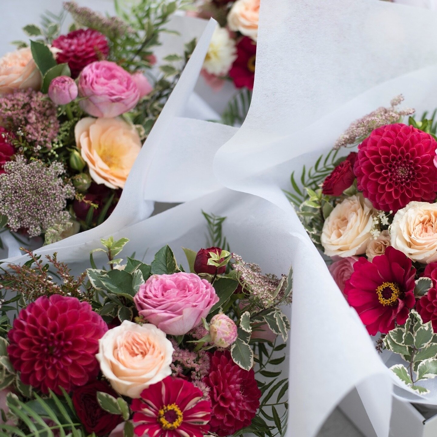 For the maids 🪄 featuring our farm grown Zinnias @fleurpotflowers 

 #brisbaneweddings #brisbaneweddingflorist #brisbaneflowers #sunshinecoastweddings #dayborowedding #brisbanebride #sunshinecoastweddingflorist #noosawedding