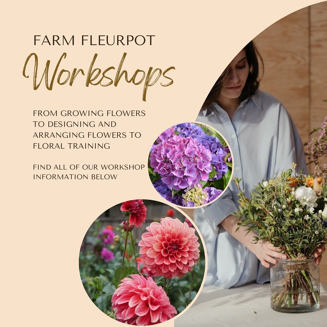 Our Spring dates for our Flower Farming for Beginners Classes are now available 🌱Get your tickets via Eventbrite 

Saturday 24th August &amp; Friday 13th September 2024

#flowerfarmingclass #brisbaneworkshops #farmingforbeginners #growingclass #cutf