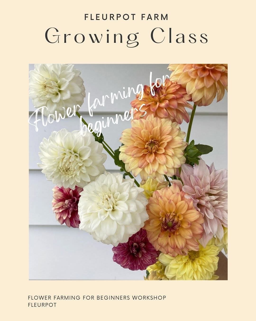 A peek of what you can expect to learn from our online class - Flower Farming for Beginners. Our 20 page farming guide is packed with tips and ticks we have learnt over the years, along with two informative videos, showing step by step instructions. 