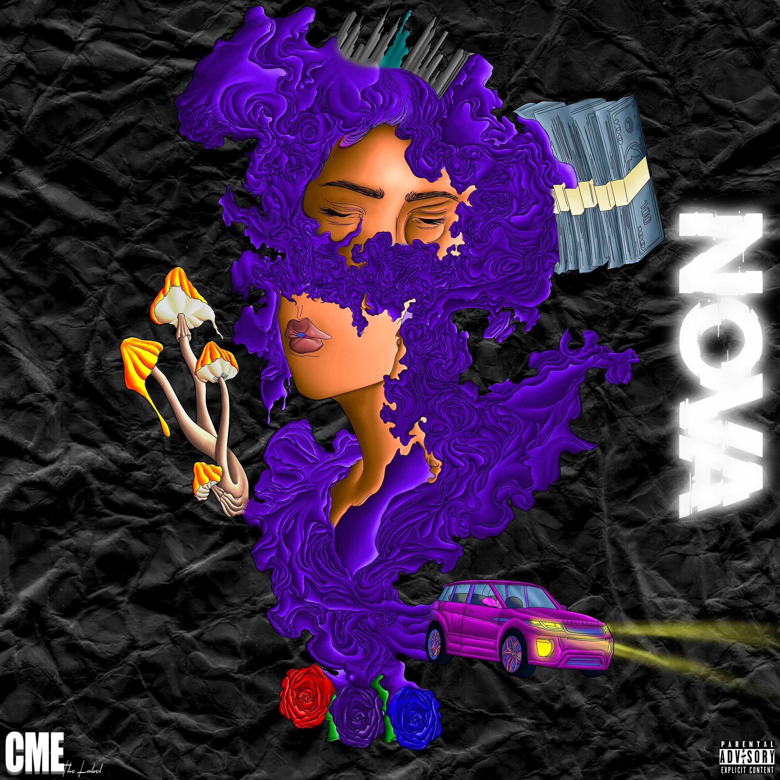 NOVA (6).jpeg
