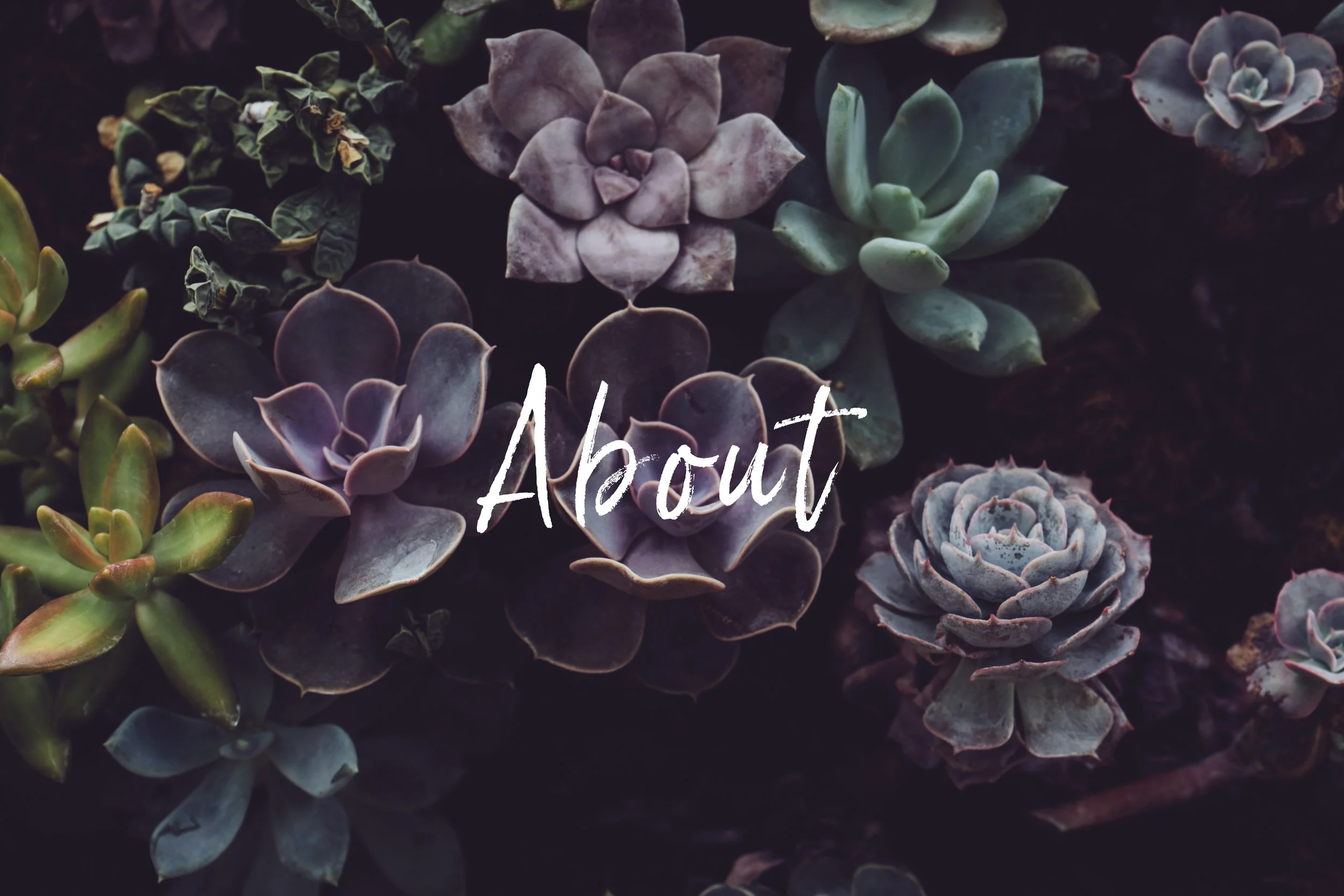 scott-webb-205351-unsplash-Edit.jpg