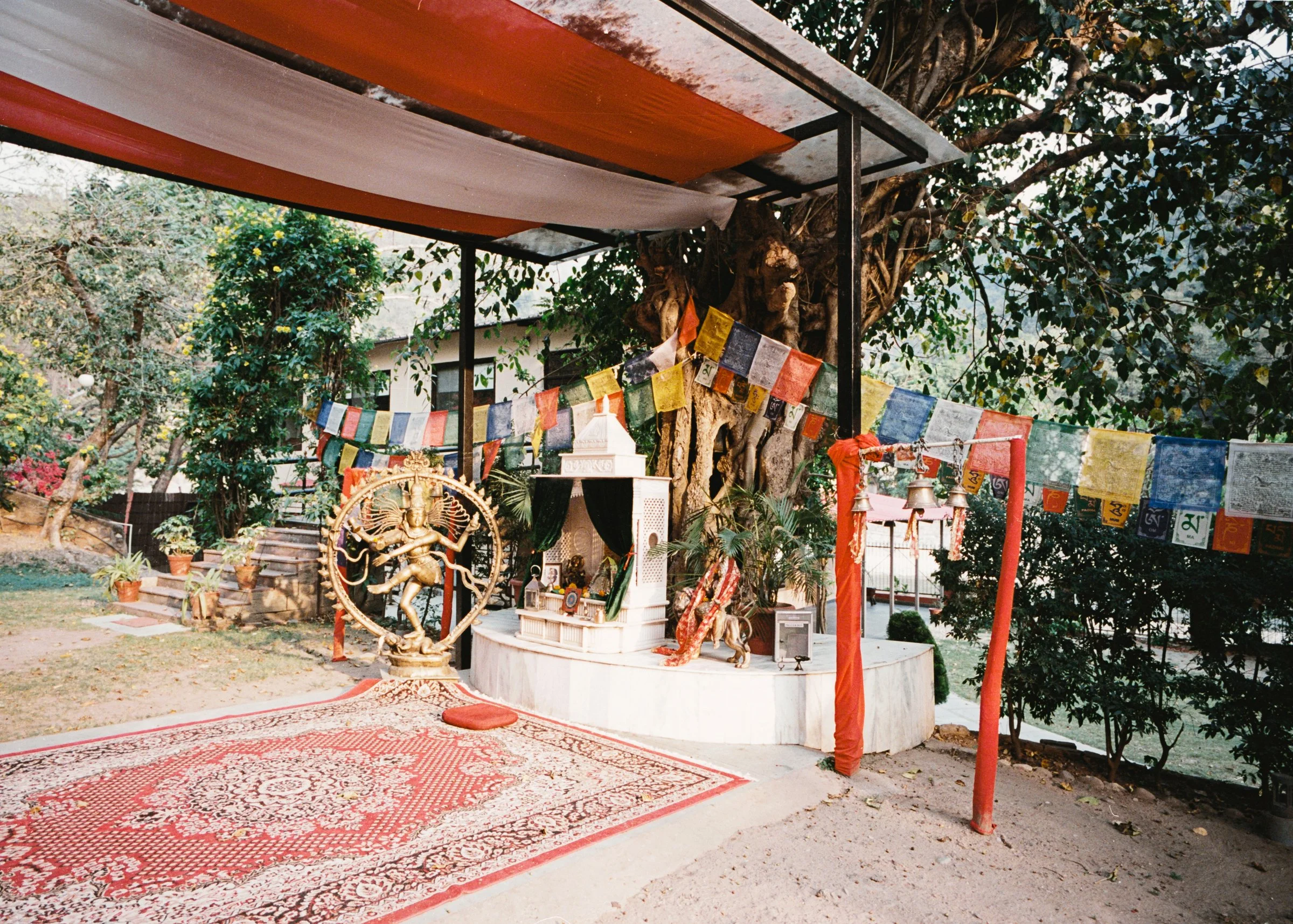 India_Scan_2024-47.jpg
