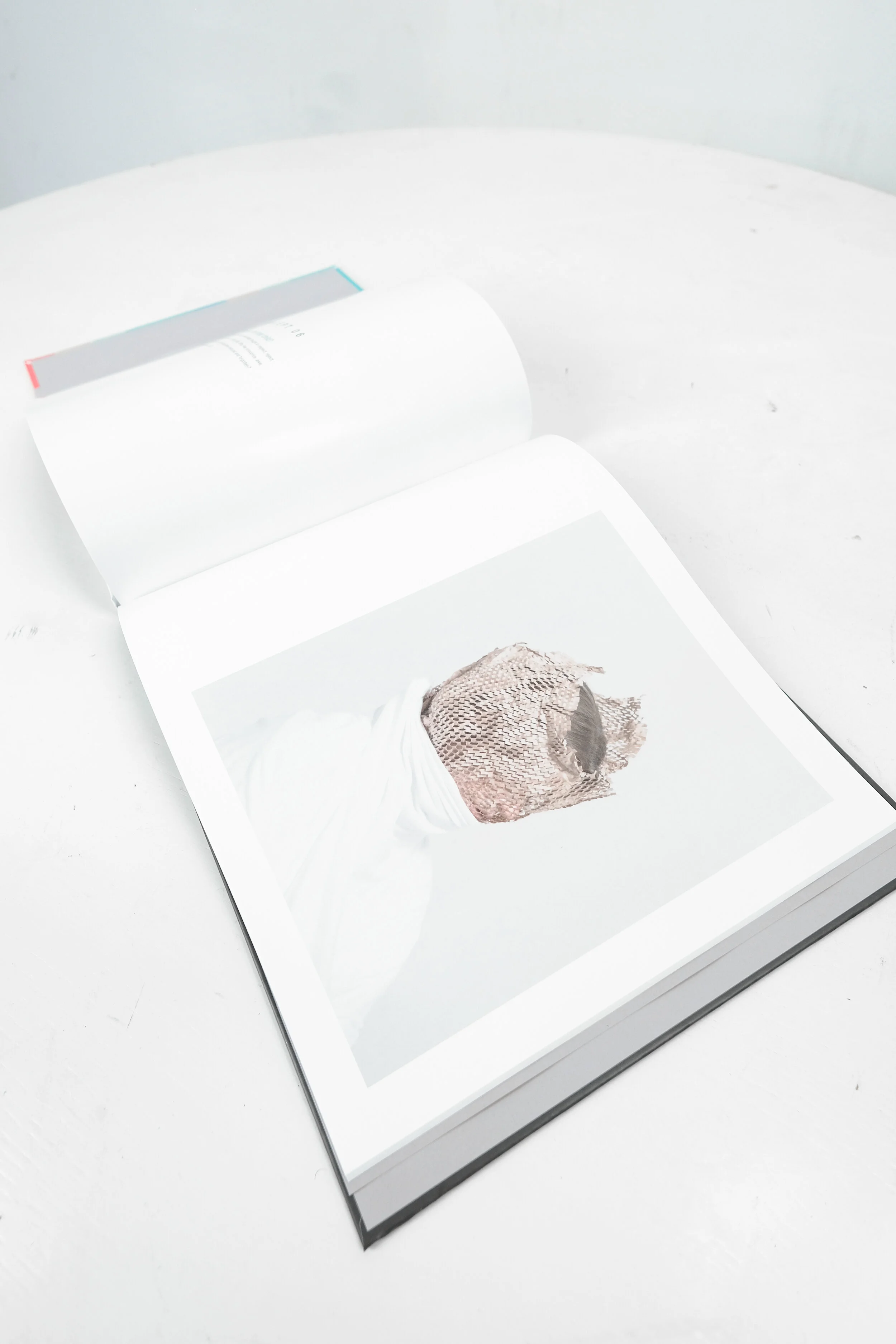 BSL BOOK00008-2.jpg