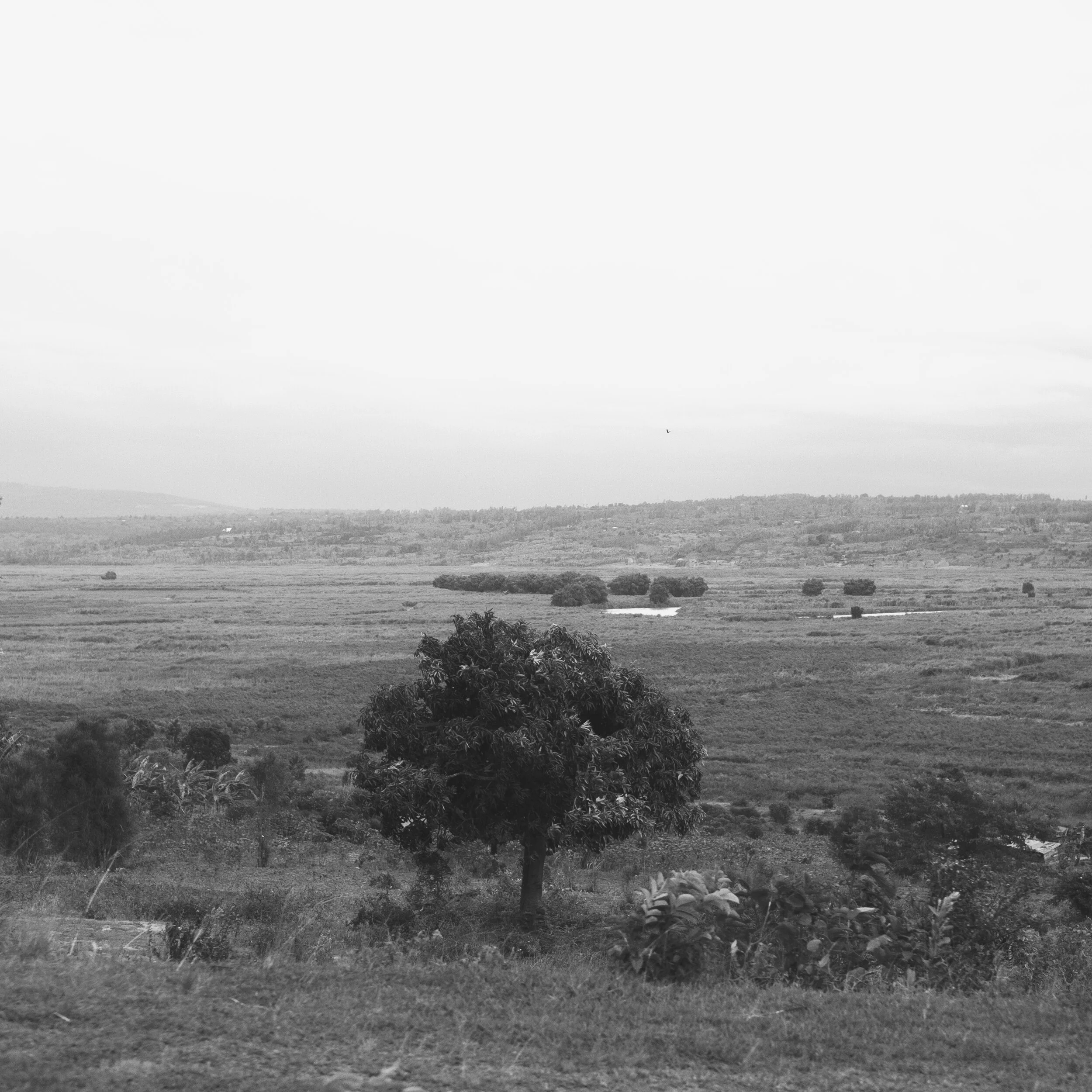 Rwanda (48 of 155).jpg