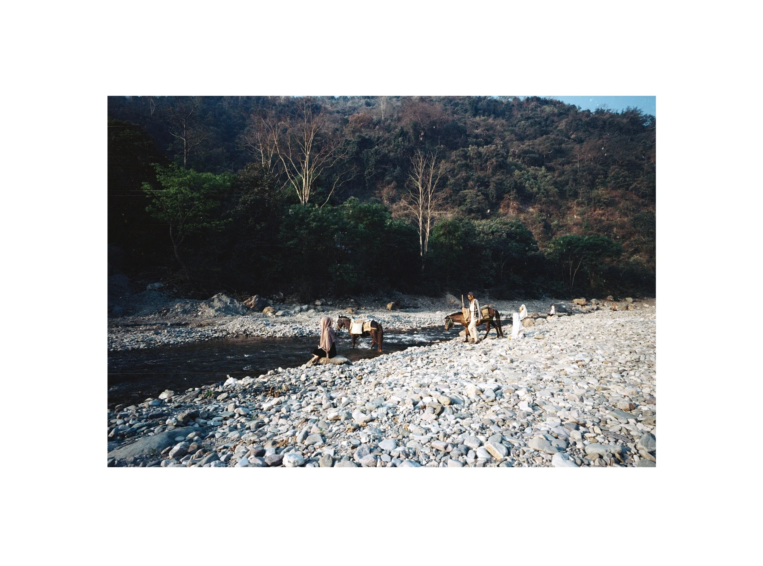 need-of-the-hour-uttarakhand-india_53923921002_o.jpg