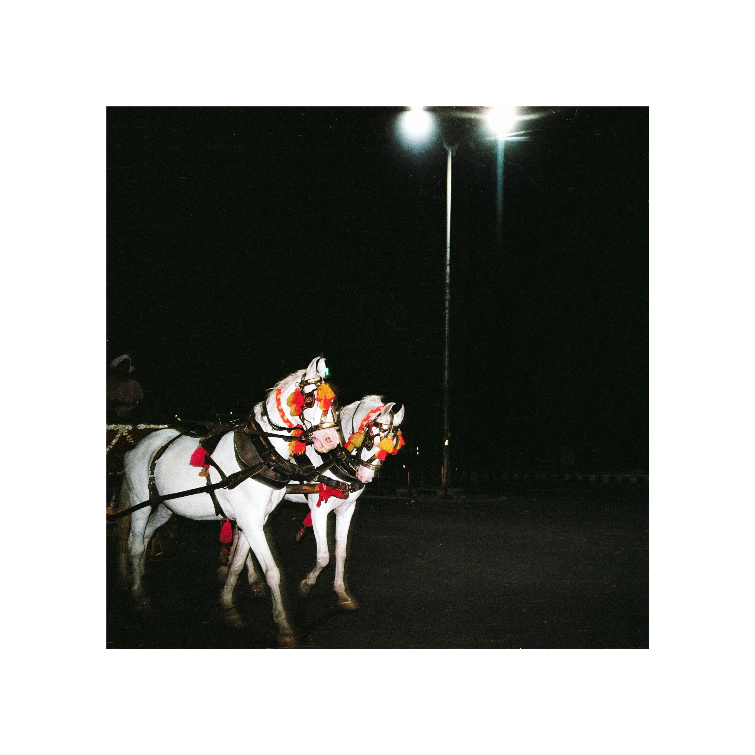 seer-seen-sight-2024-delhi-india_53925267995_o.jpg