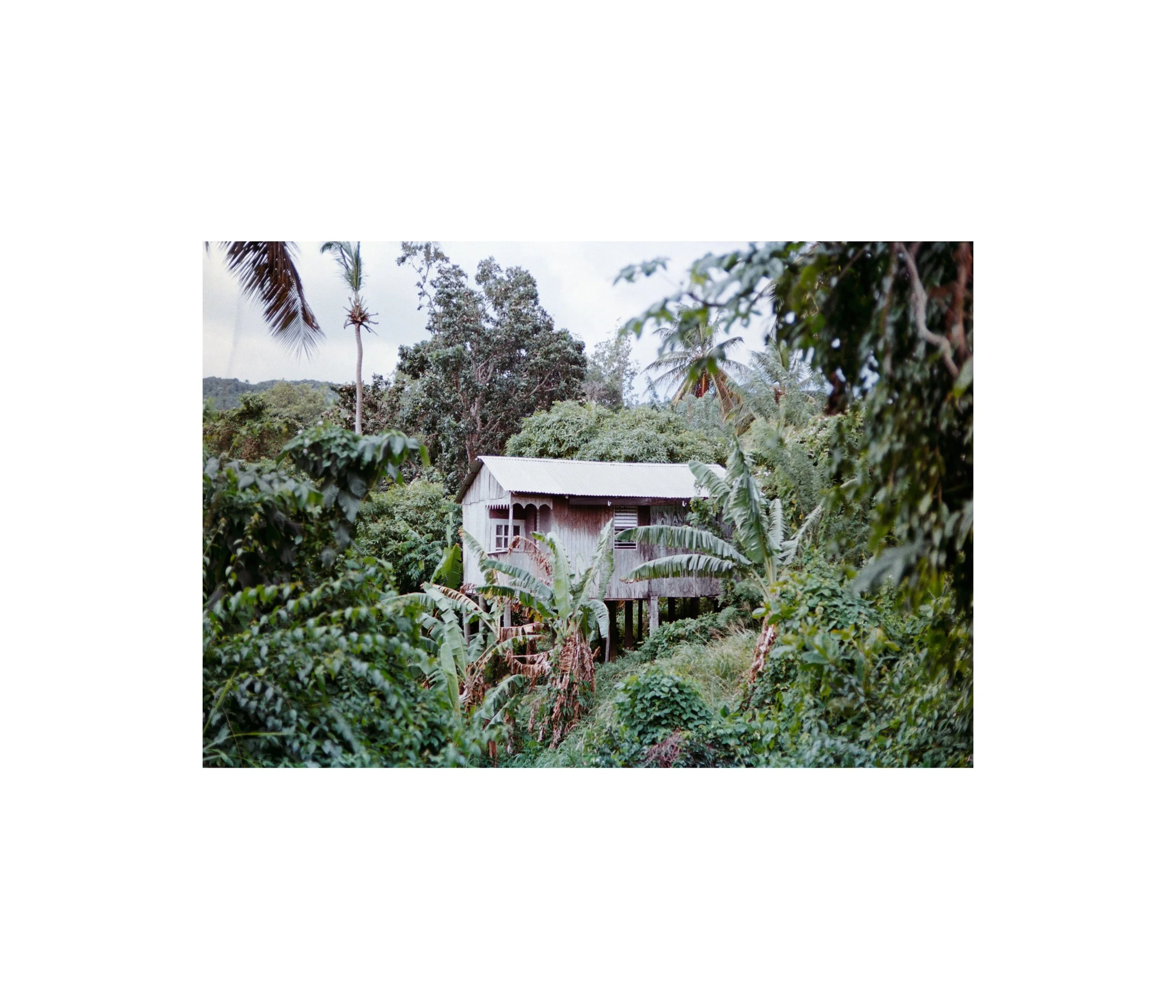 suspending-stillness-ti-rocher-saint-lucia-wi_53952426806_o.jpg