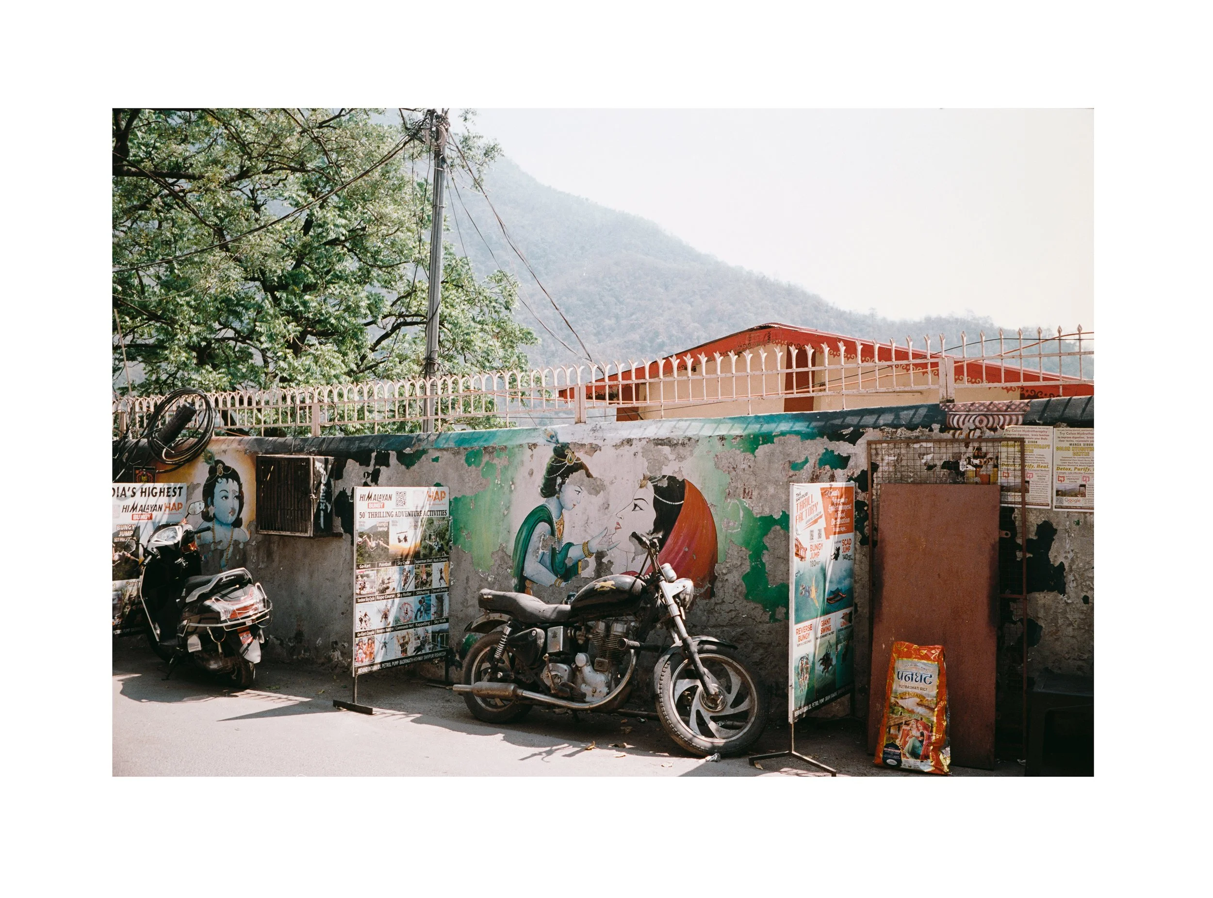 uncaged-the-bird-flys-high-2024-tapovan-rishikesh_53911630084_o.jpg