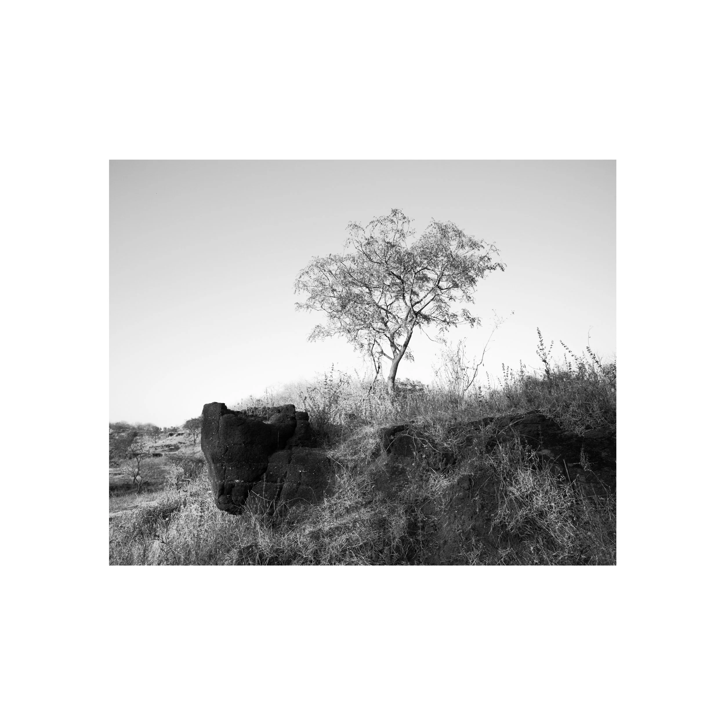 an-unobstructed-channel-2023-ellora-india_53927774630_o.jpg