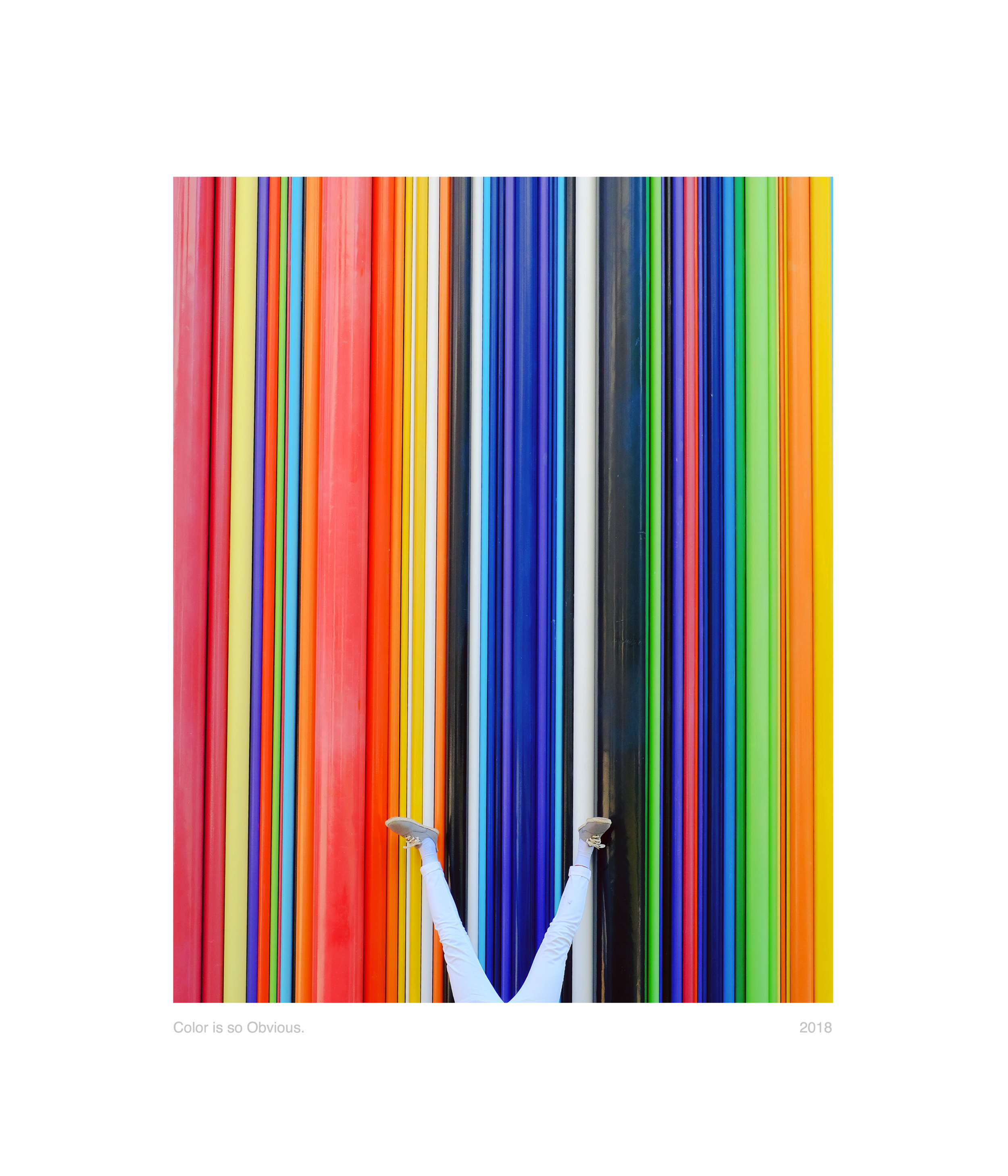 color-is-so-obvious-2018_53942230321_o.png