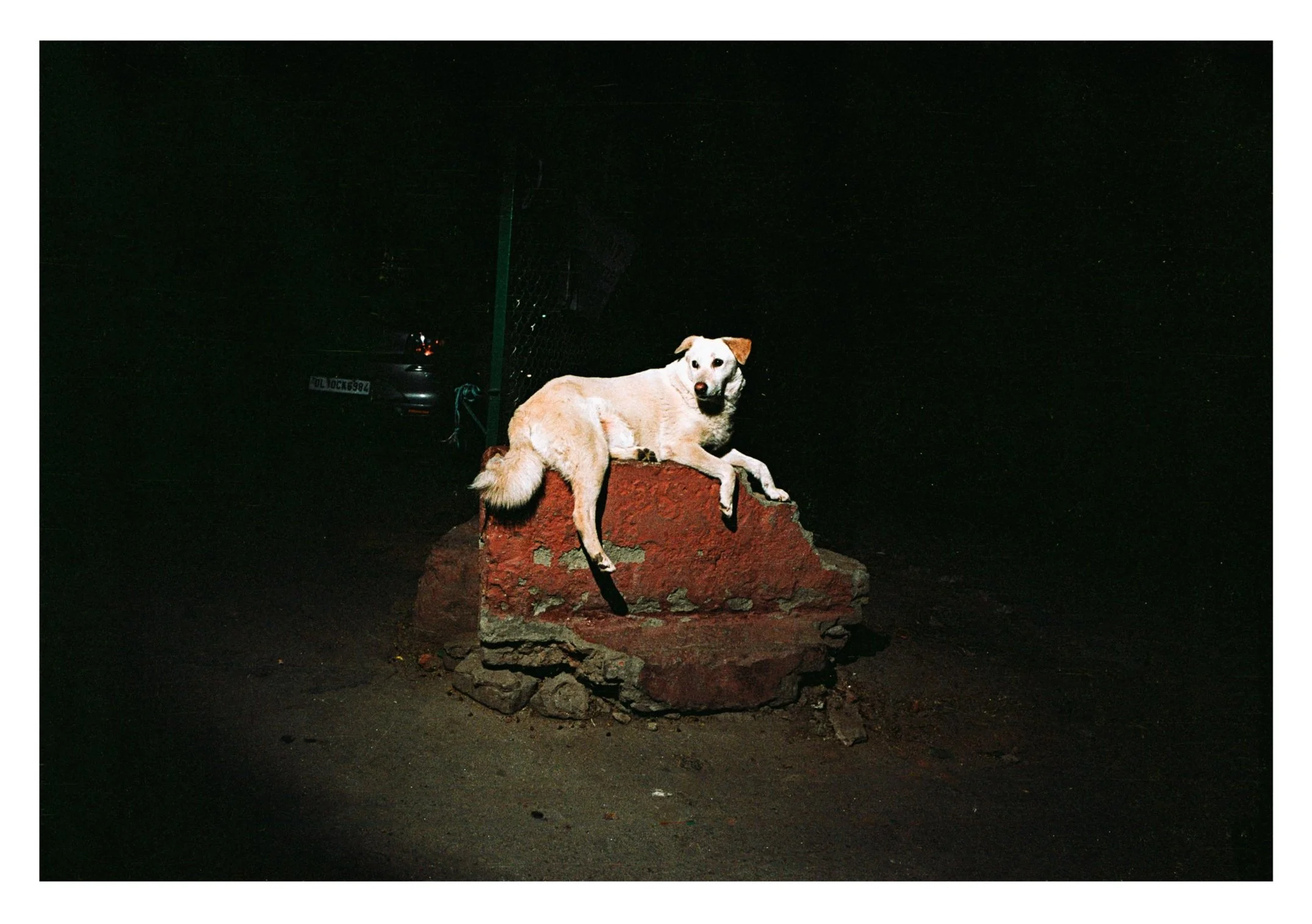 birha-ki-maari-koi-2024-delhi-india_53912370092_o.jpg