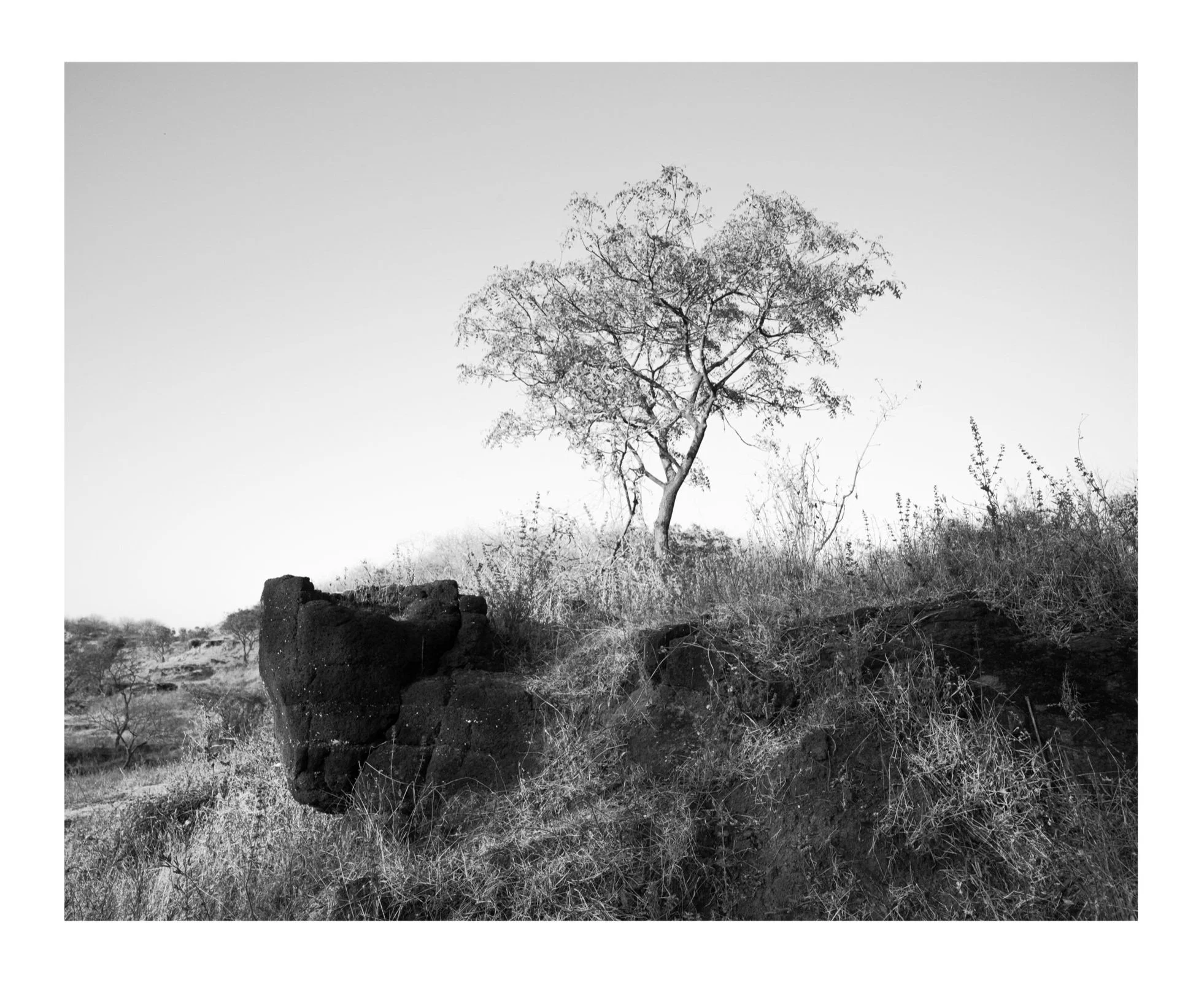 an-unobstructed-channel-2023-ellora-india_53927774630_o.jpg