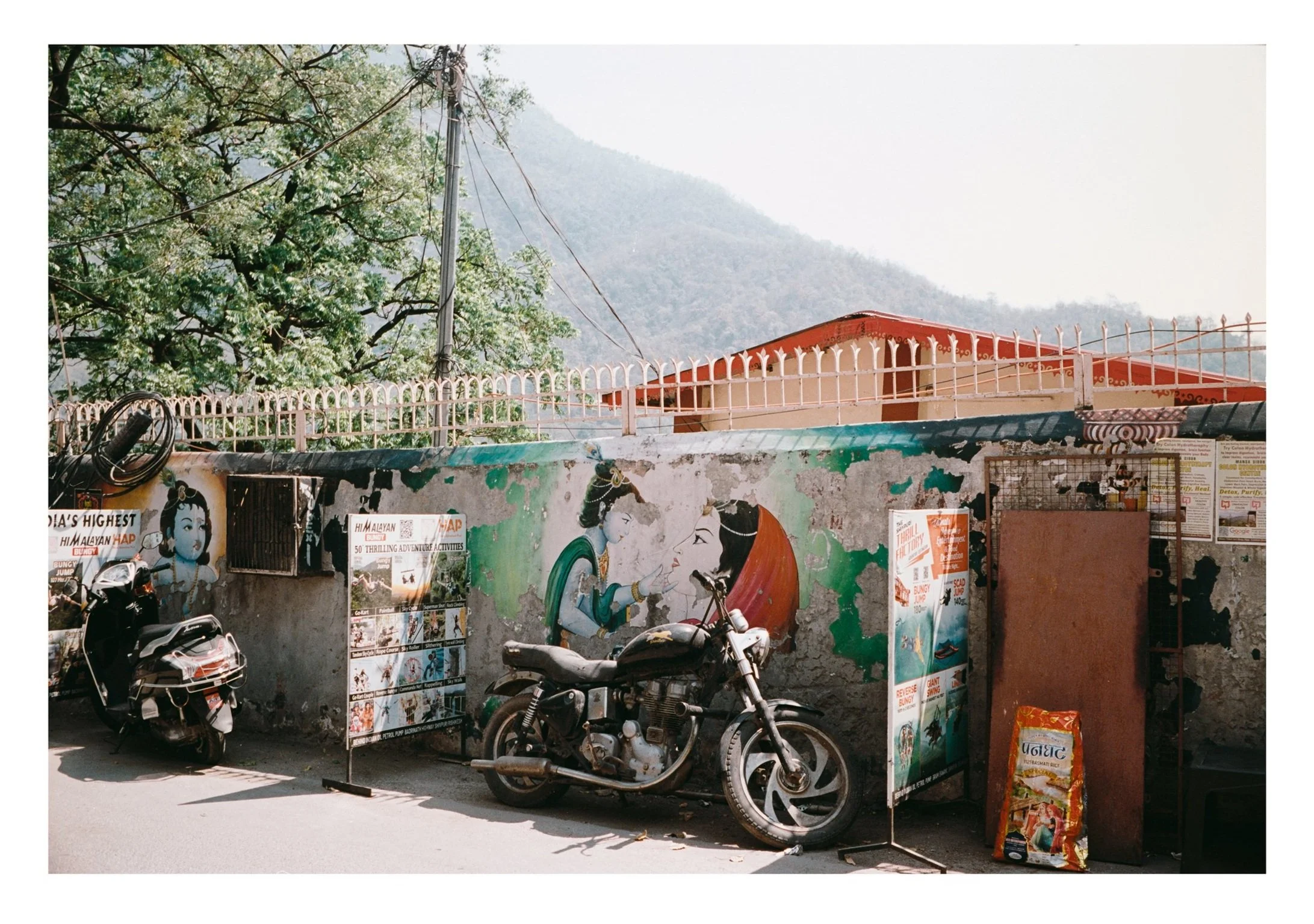 uncaged-the-bird-flys-high-2024-tapovan-rishikesh_53911630084_o.jpg