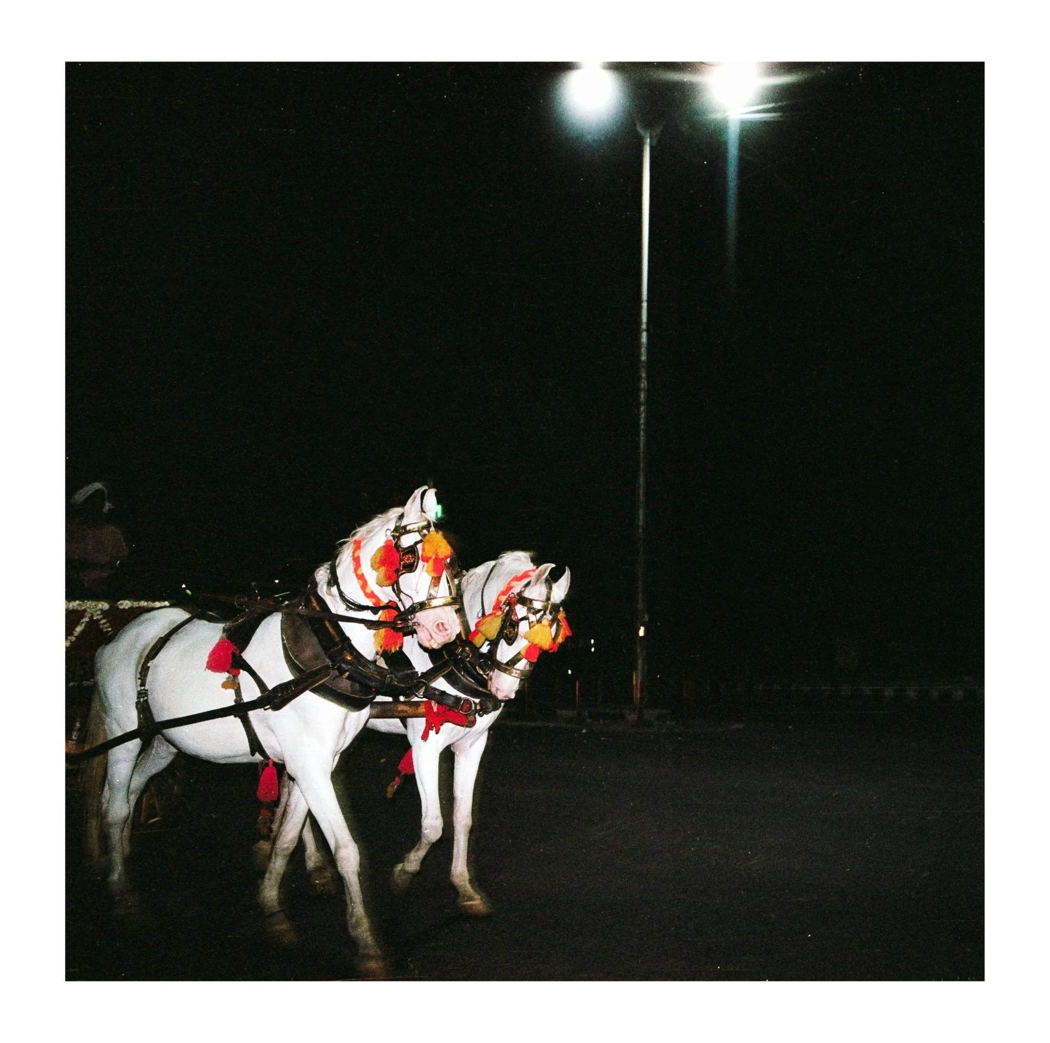seer-seen-sight-2024-delhi-india_53925267995_o.jpg