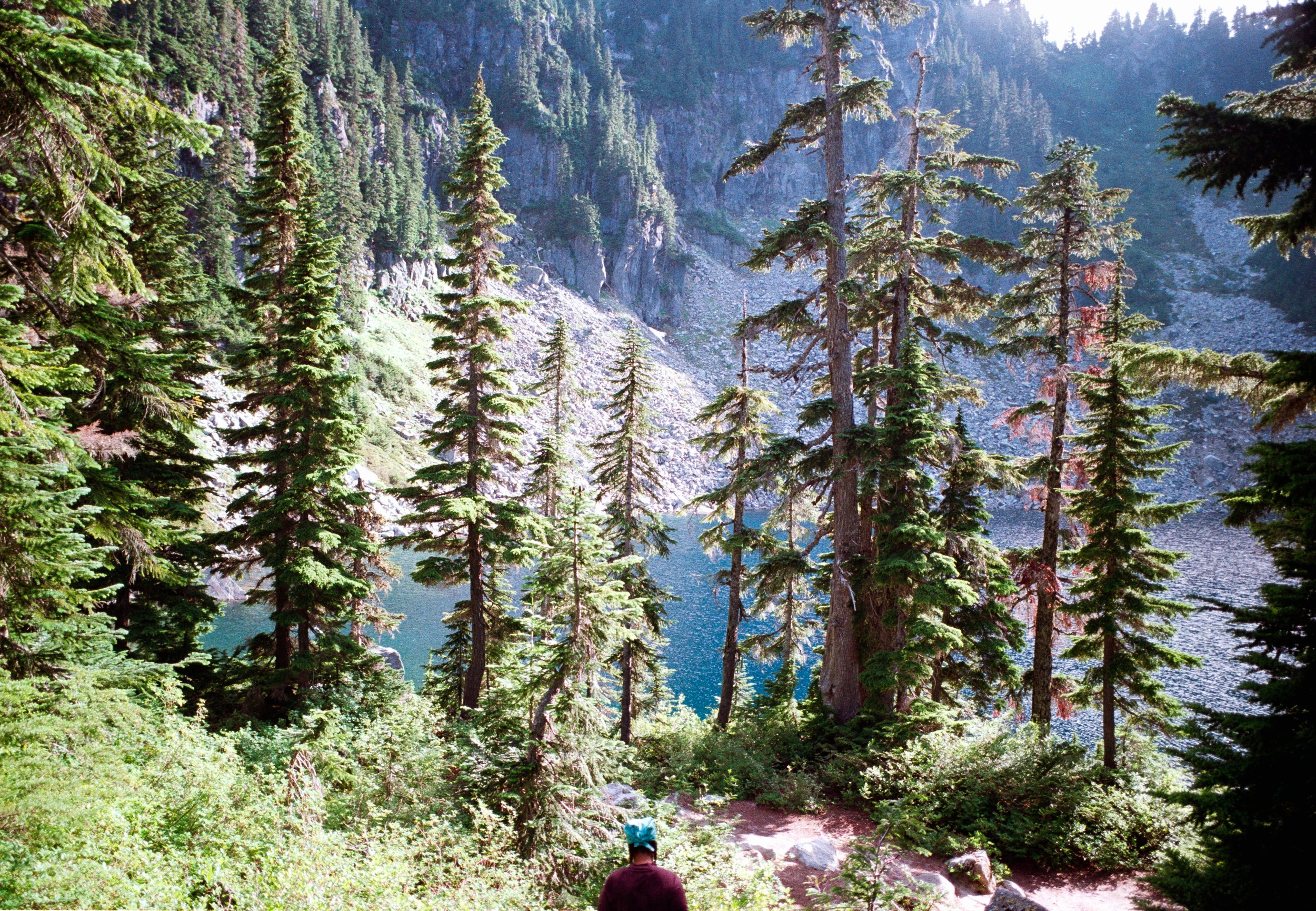 The Lake Through the Trees, 2025.