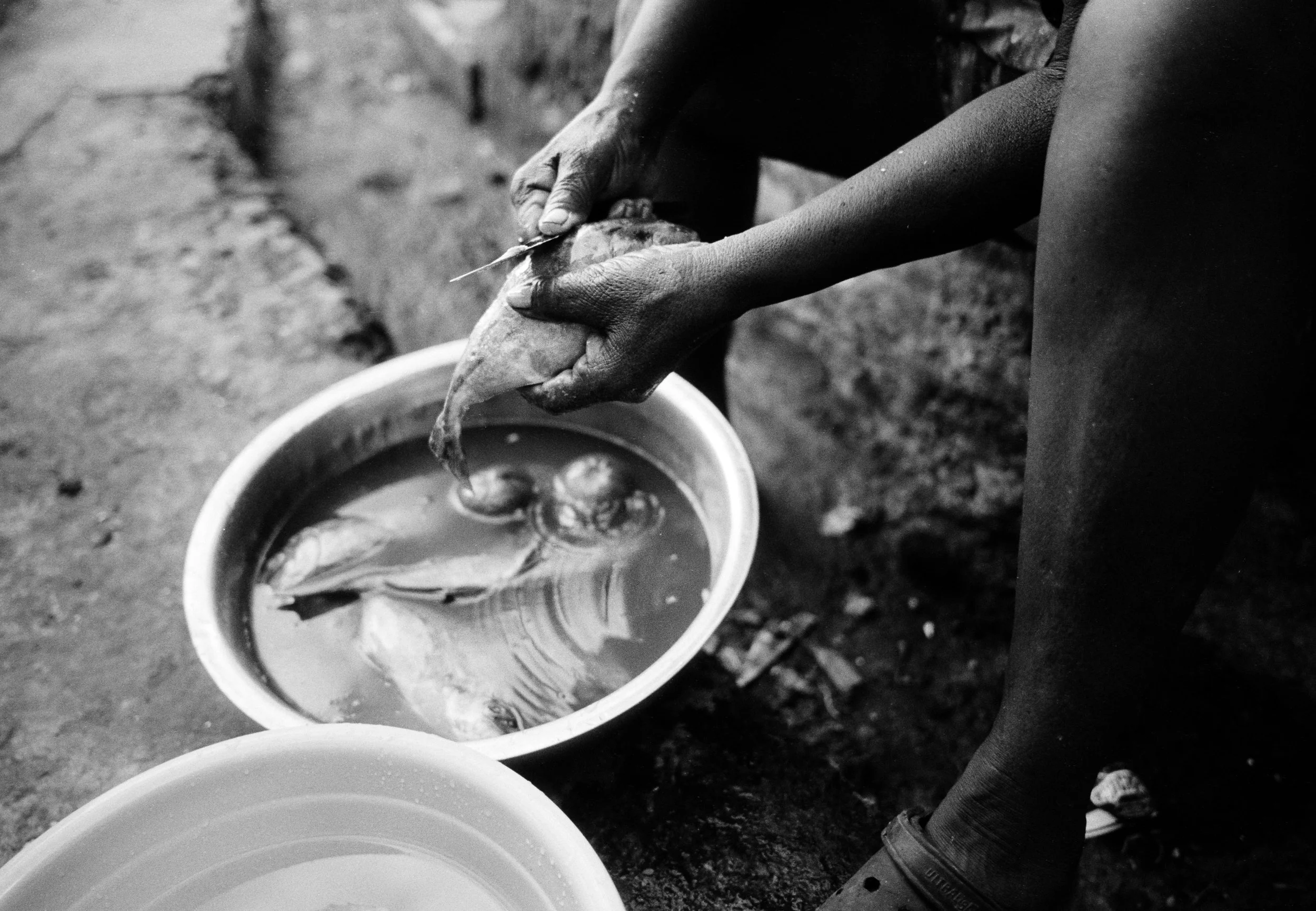Hands that feed, 2025.