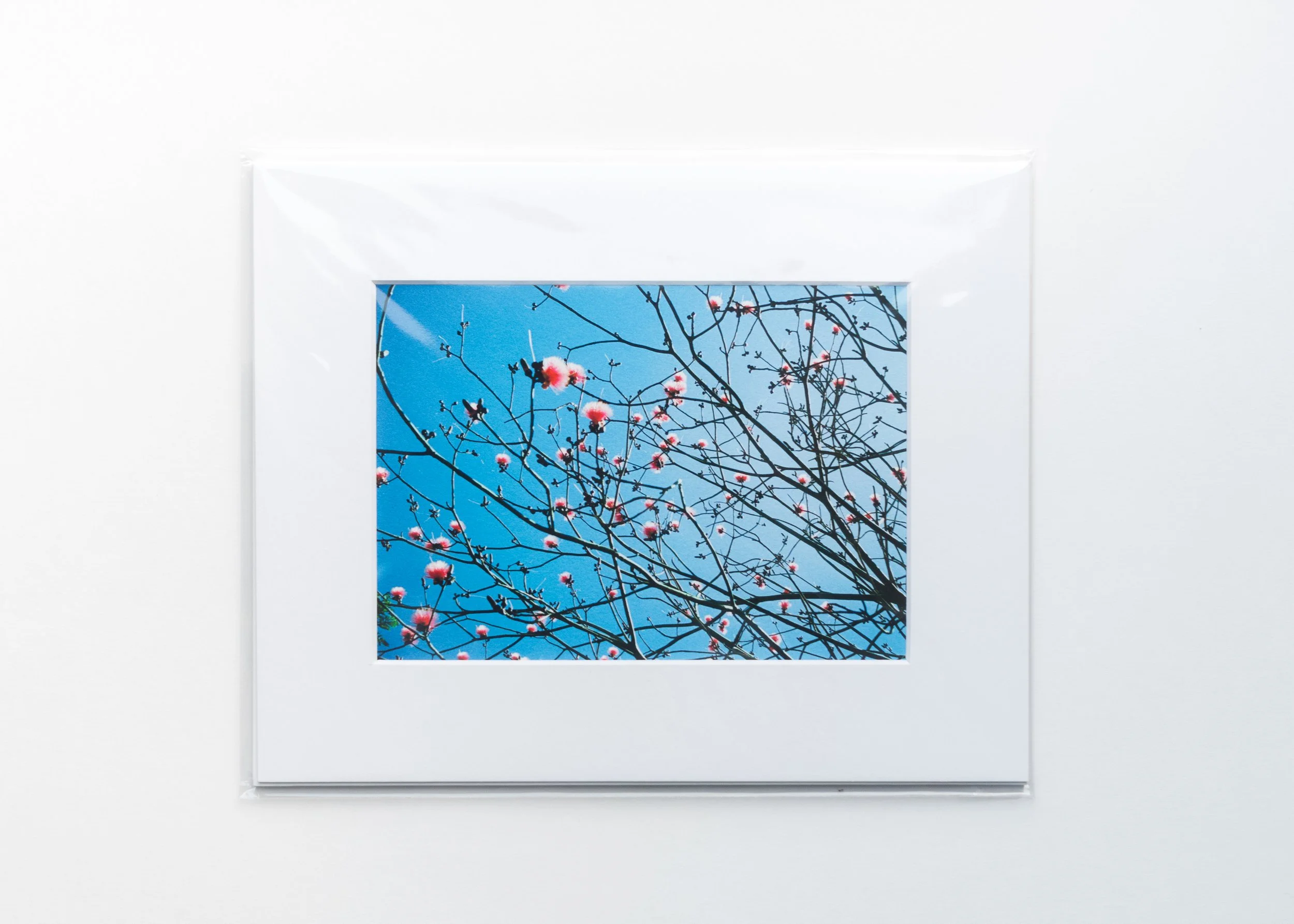 Print-25.jpg