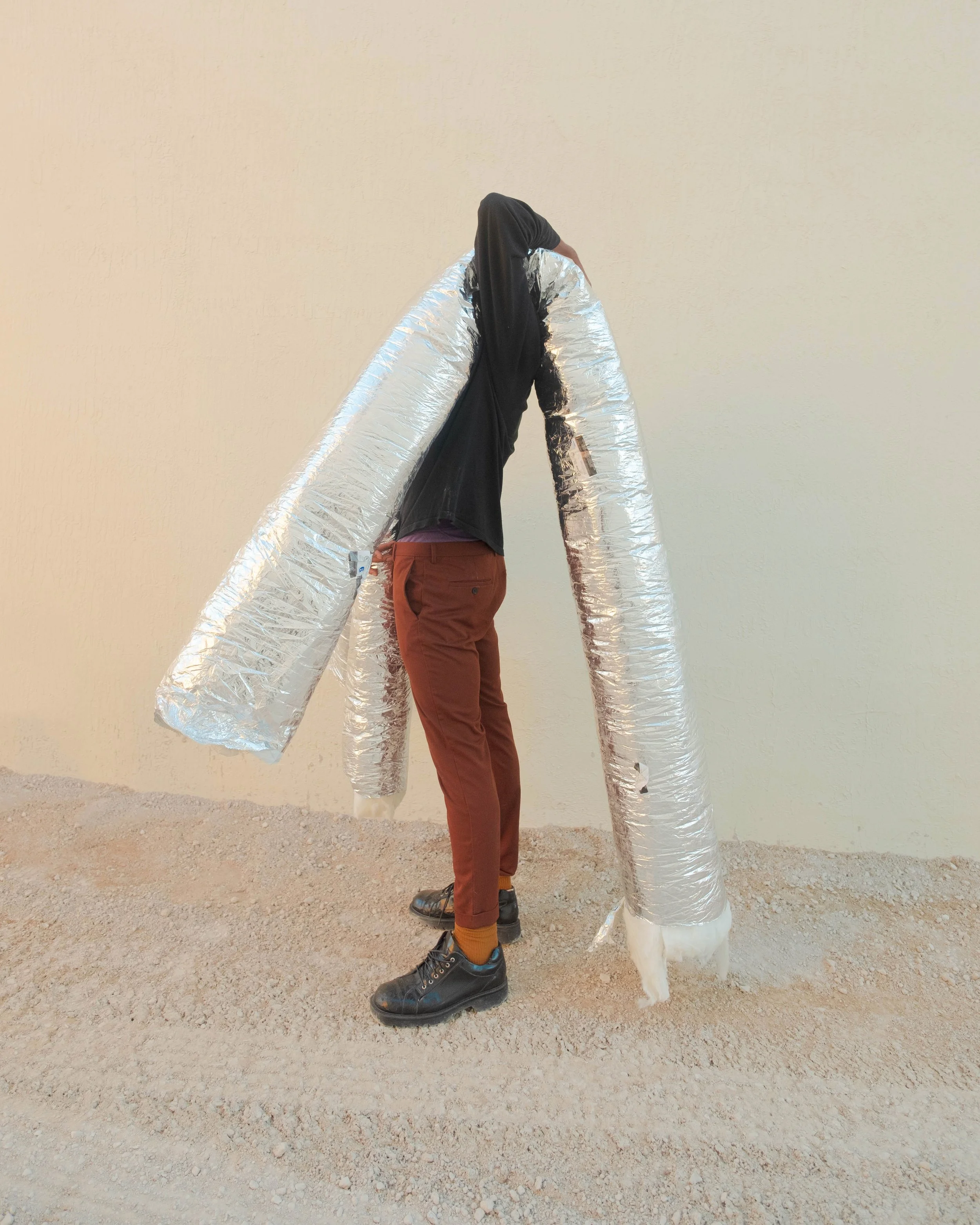 Carry the Zero, 2020.jpeg