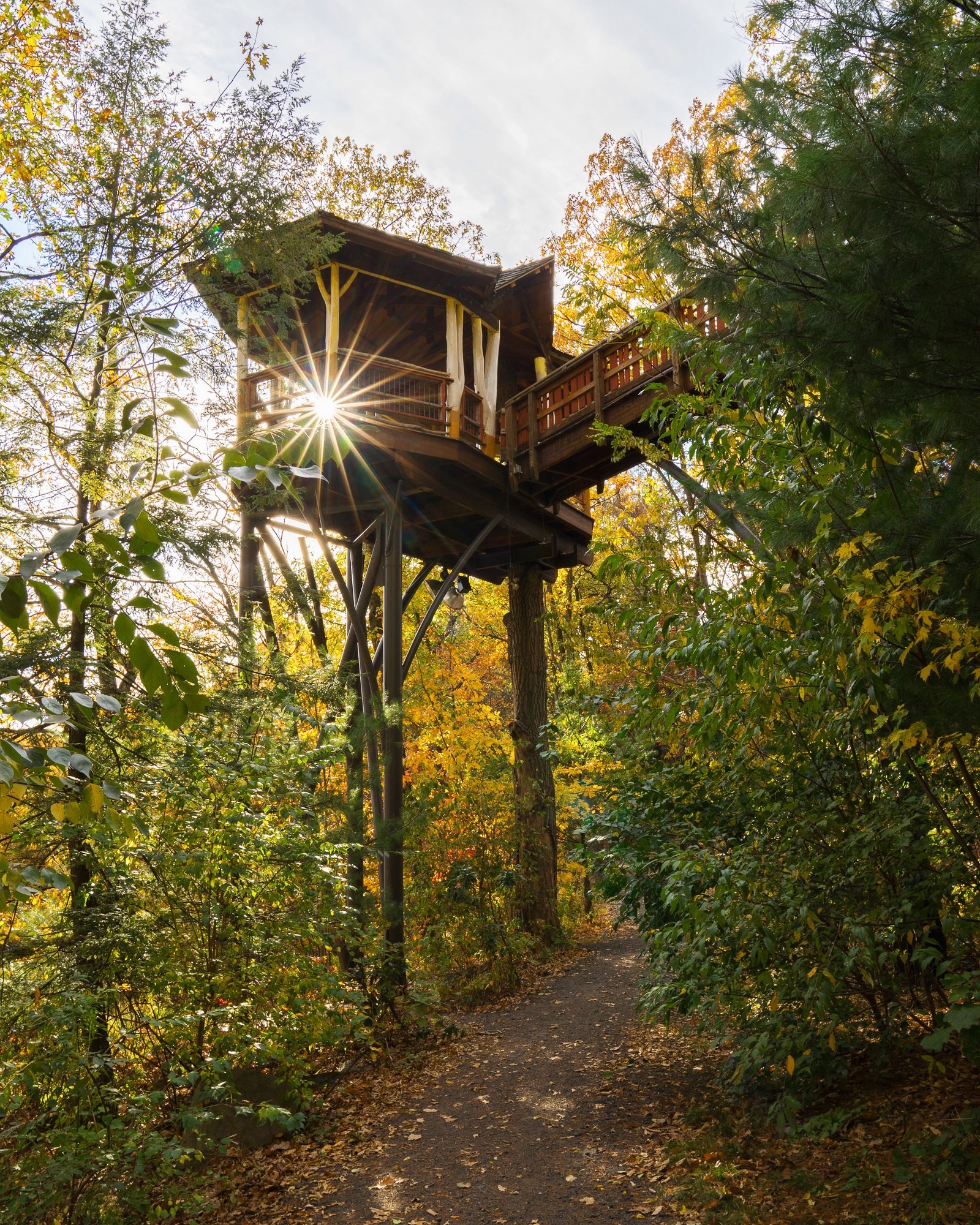 Pennsylvania Treehouse