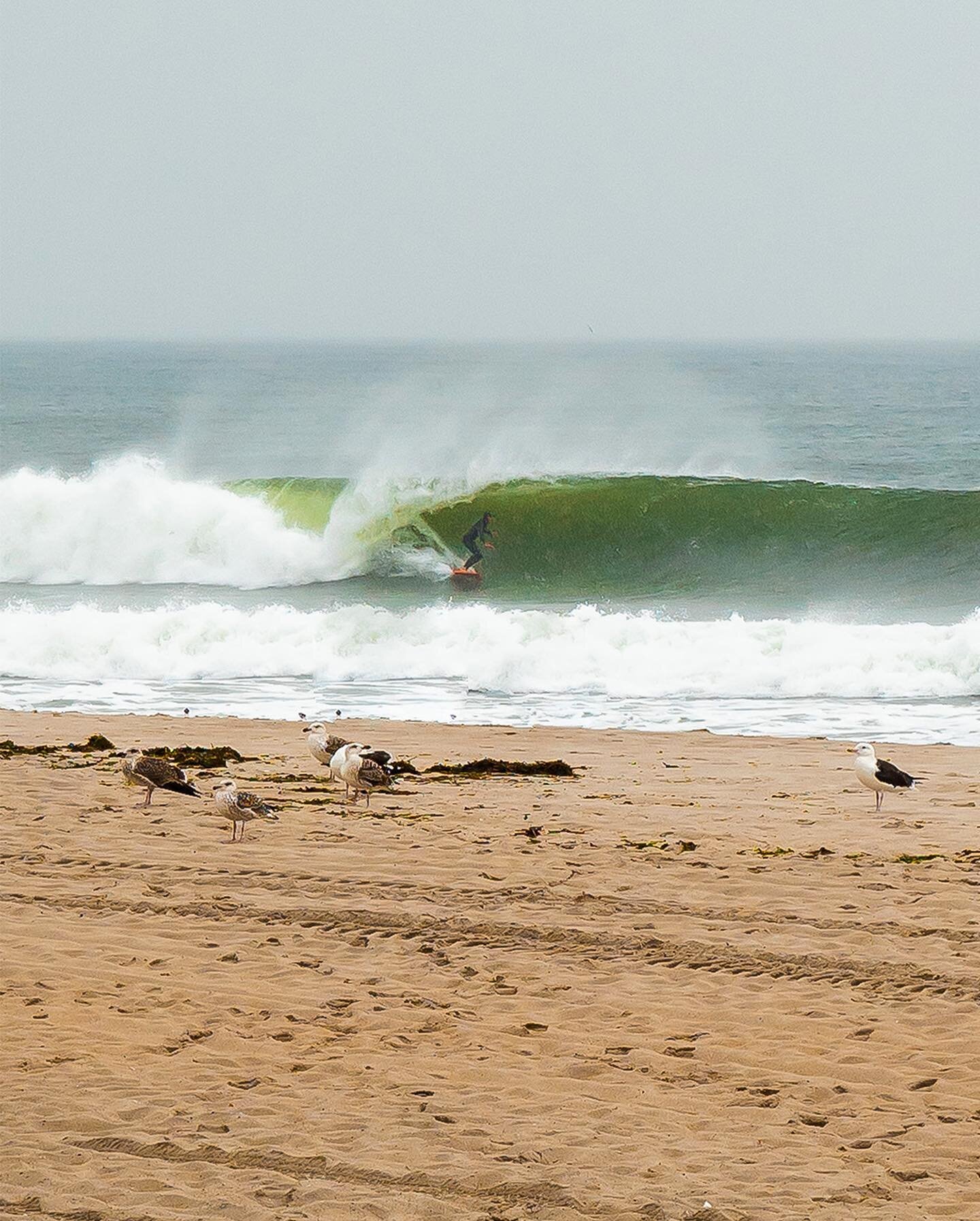 High tide, full moon, and Hurricane Henri brewed up some great waves last weekend. Hope you enjoy some of these shots from the shore as the storm came rolling in. #HurricaneHenri #LongBeach