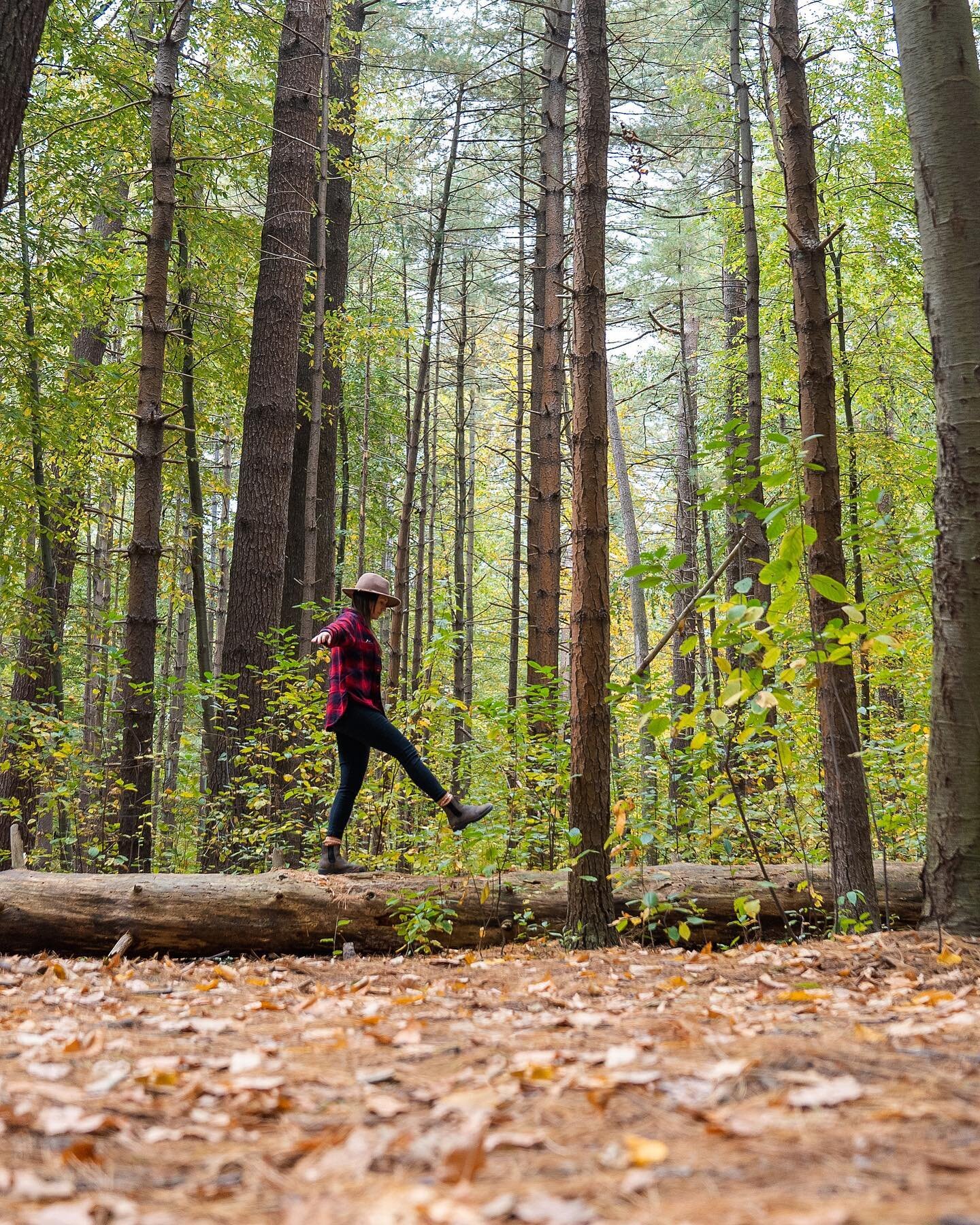 Exploring new trails, parks, and preserves on Long Island. The hikes at Prosser Pines Nature Preserve, David Weld Sanctuary, and Cold Spring Harbor State park are must sees in Suffolk County! Pro tip, pack a blanket and eat lunch on the beach after s