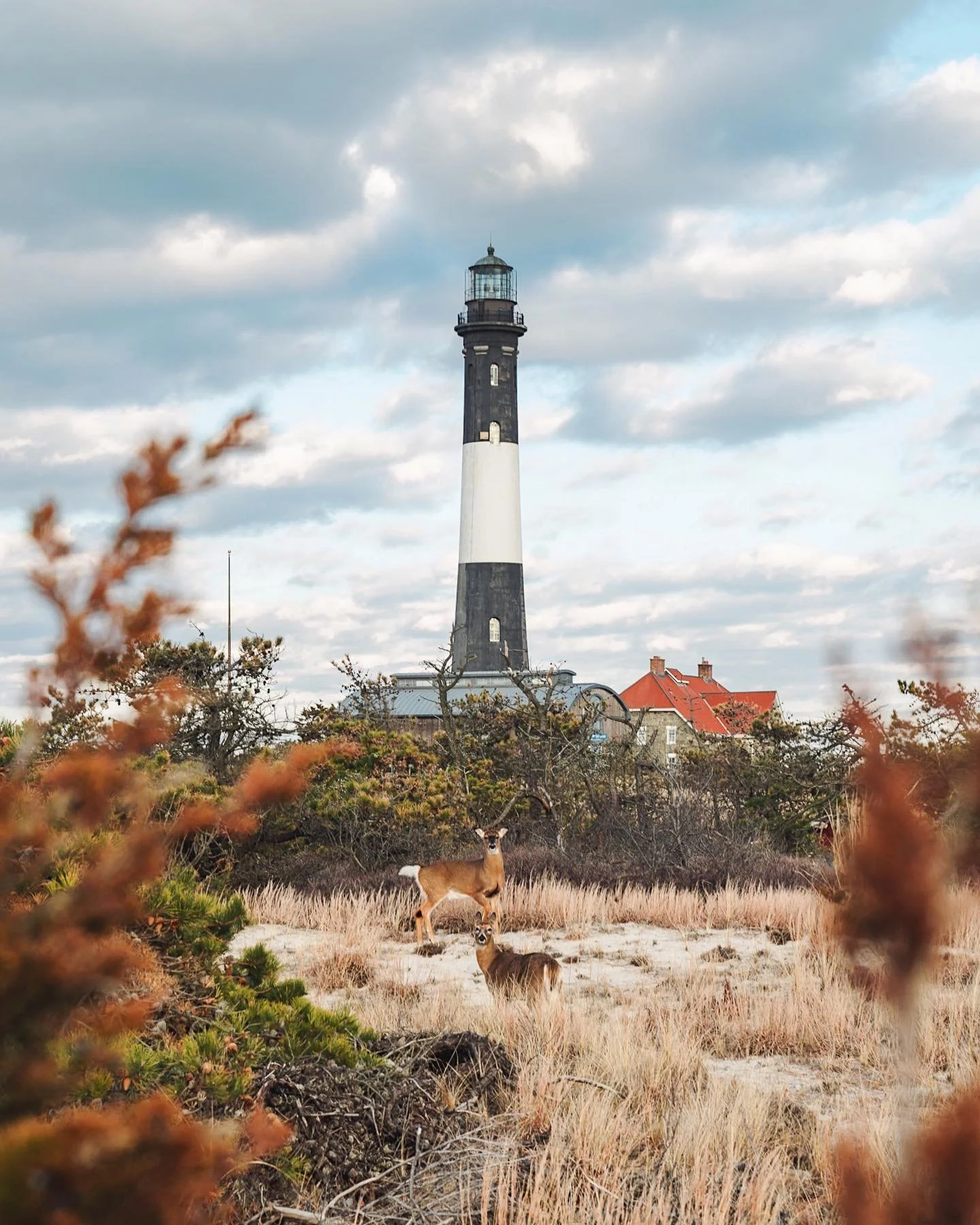 Catching up with some Long Island locals. Thought it was @giannis_an34 and @k_mid22 passing by town for a moment! #FireIsland #FindYourPark