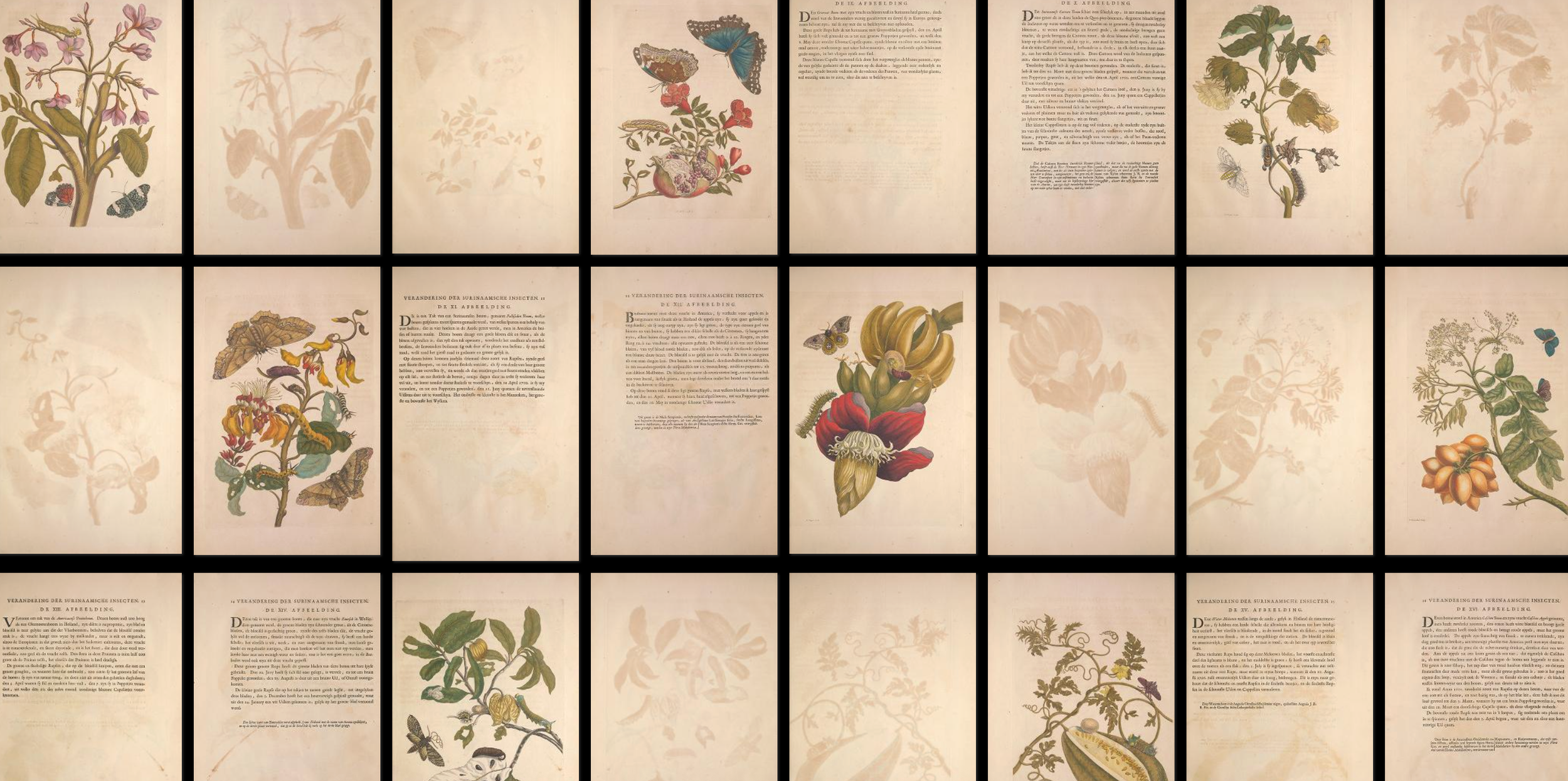 Screenshot of many pages in png format