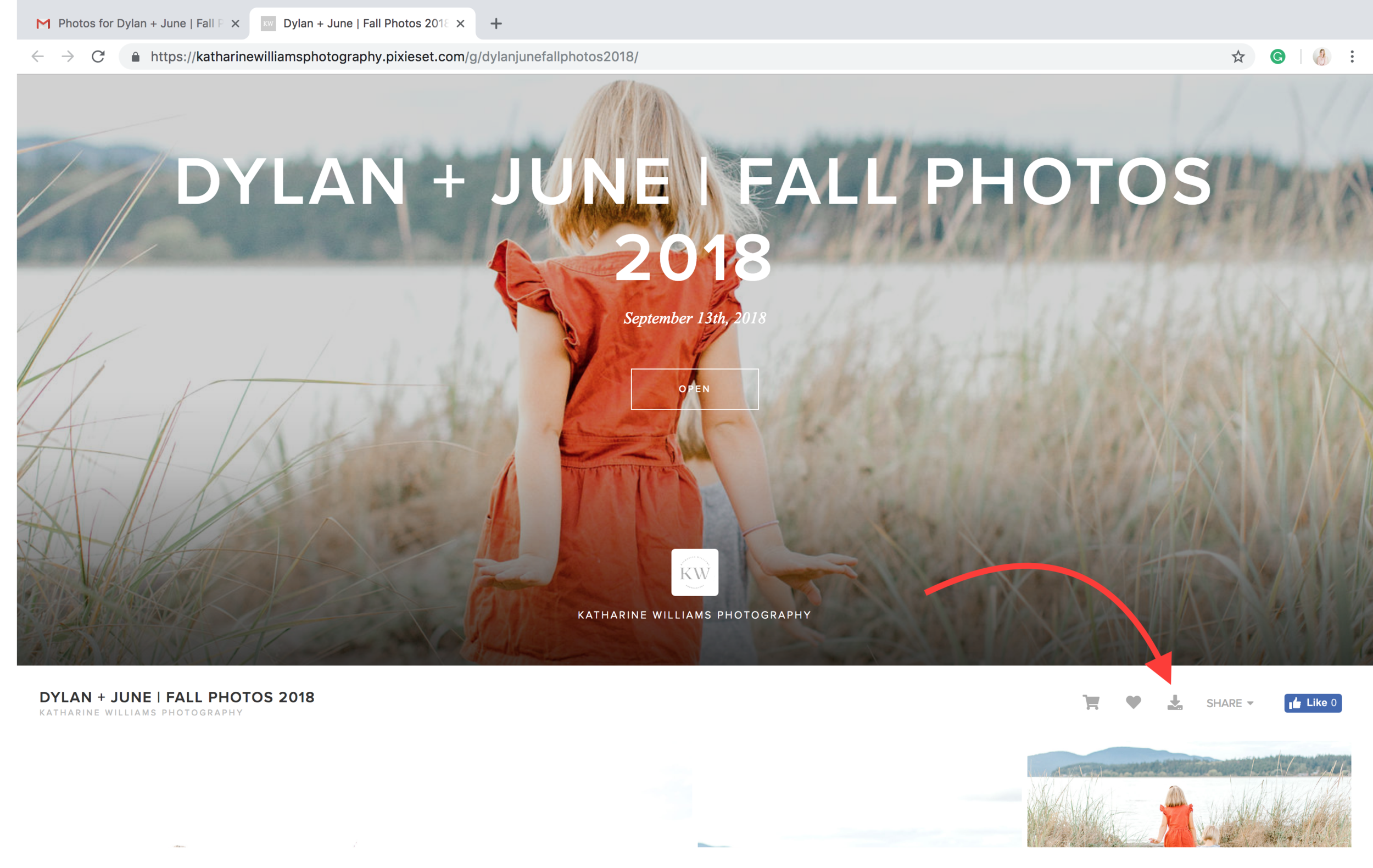 guide to downloading your images from pixieset