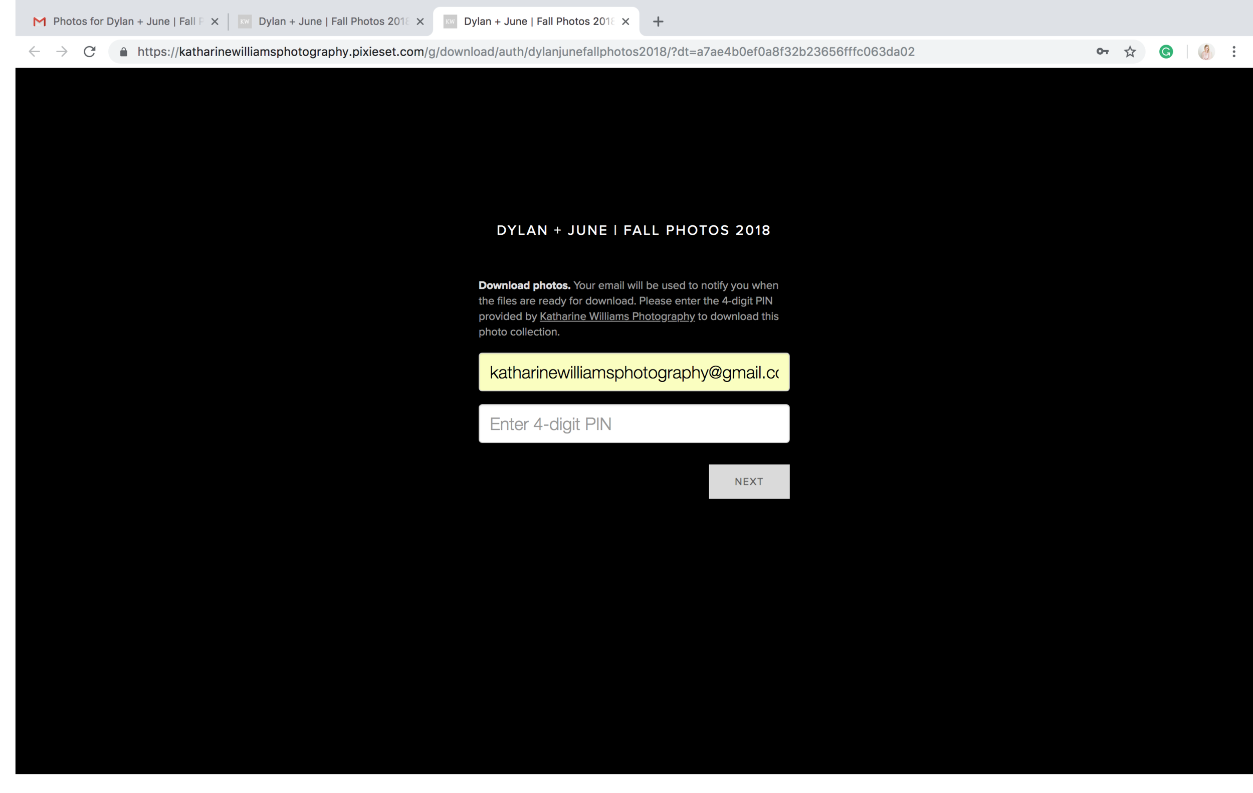 guide to downloading your images from Pixieset