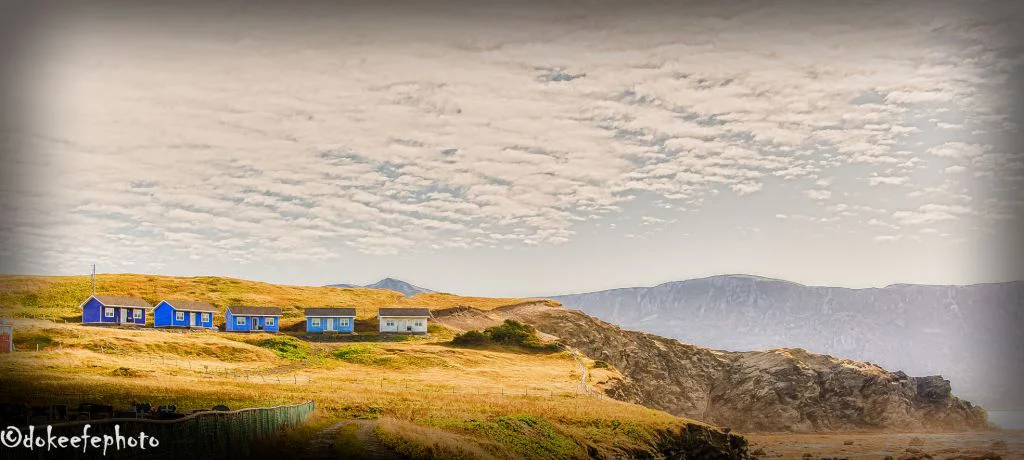 Book Your Stay With Us At The Fish Sheds In Amazing Gros Morne
