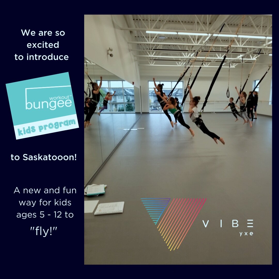 Fitness — Vibeyxe Dance Studio