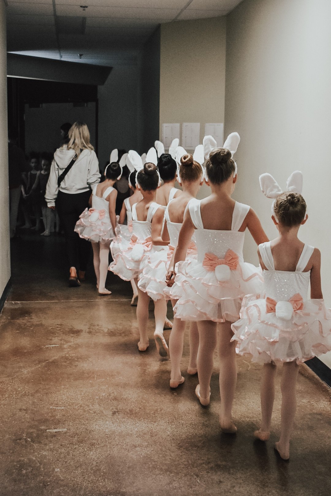 recital bunnies lined up.jpg