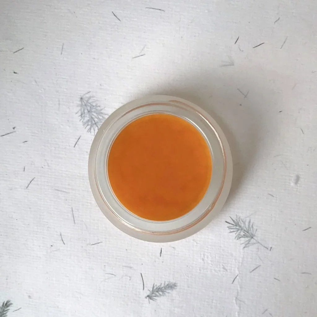 Carrot and Cocoa Lip Treatment by Pranic Forest made in Calgary AB Available on Chill Bay General