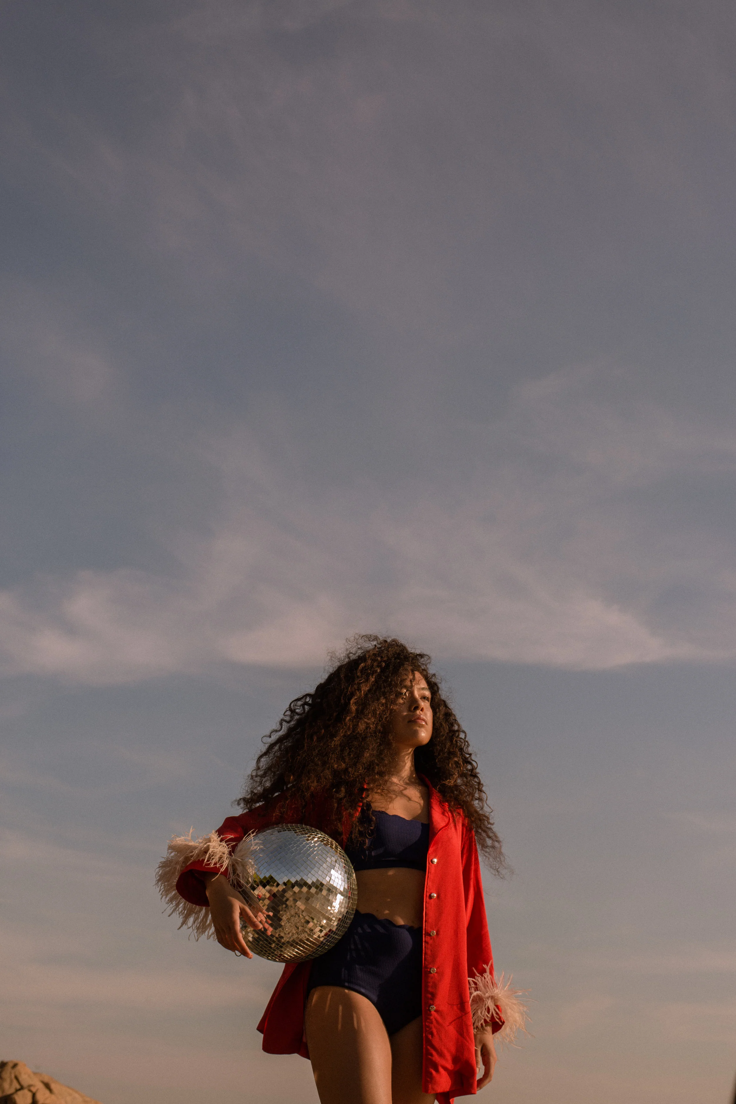 discomermaid7.jpg