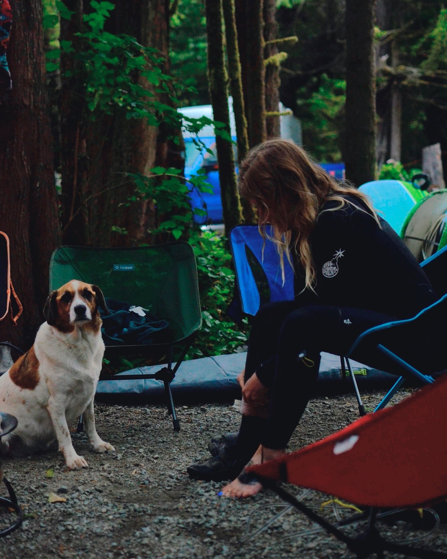 Early mornings at our favourite campground  @surfgrove 

Photo by @aeparry 

.
.
.
.
.
.
#bitchesnbarrels #womeninwetsuits #surfgrove #yourtofino #womensurfretreat #surfretreatforwomen #tofino #womenwhosurf
