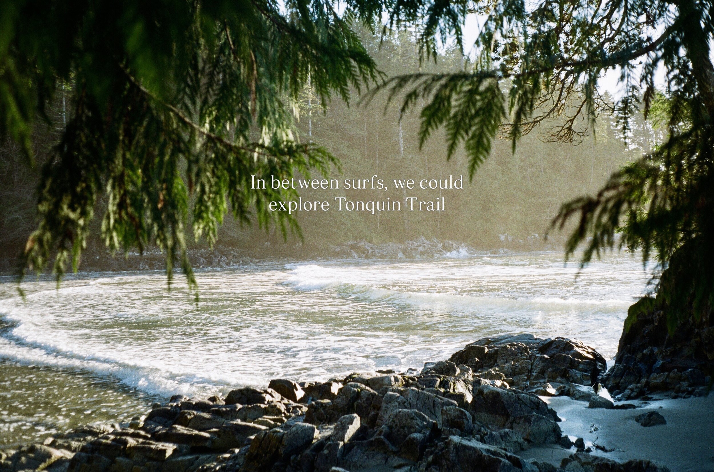 Another reason why we love hosting trips in Tofino. Tonquin Trail is a chain of boardwalks through the trees that lead to some of Tofino&rsquo;s quietest and most charming beaches.