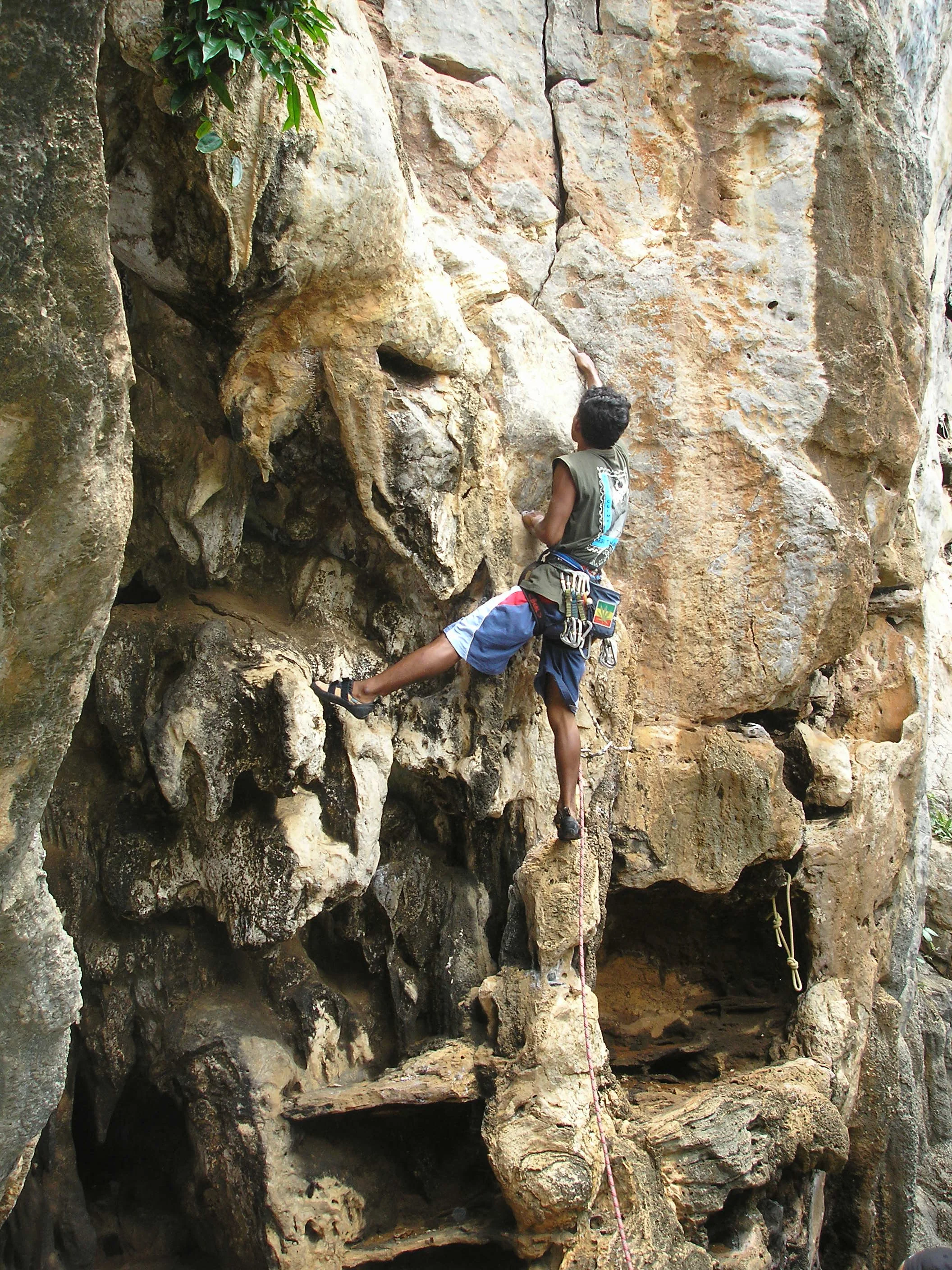 Thai Krabi 1.jpg
