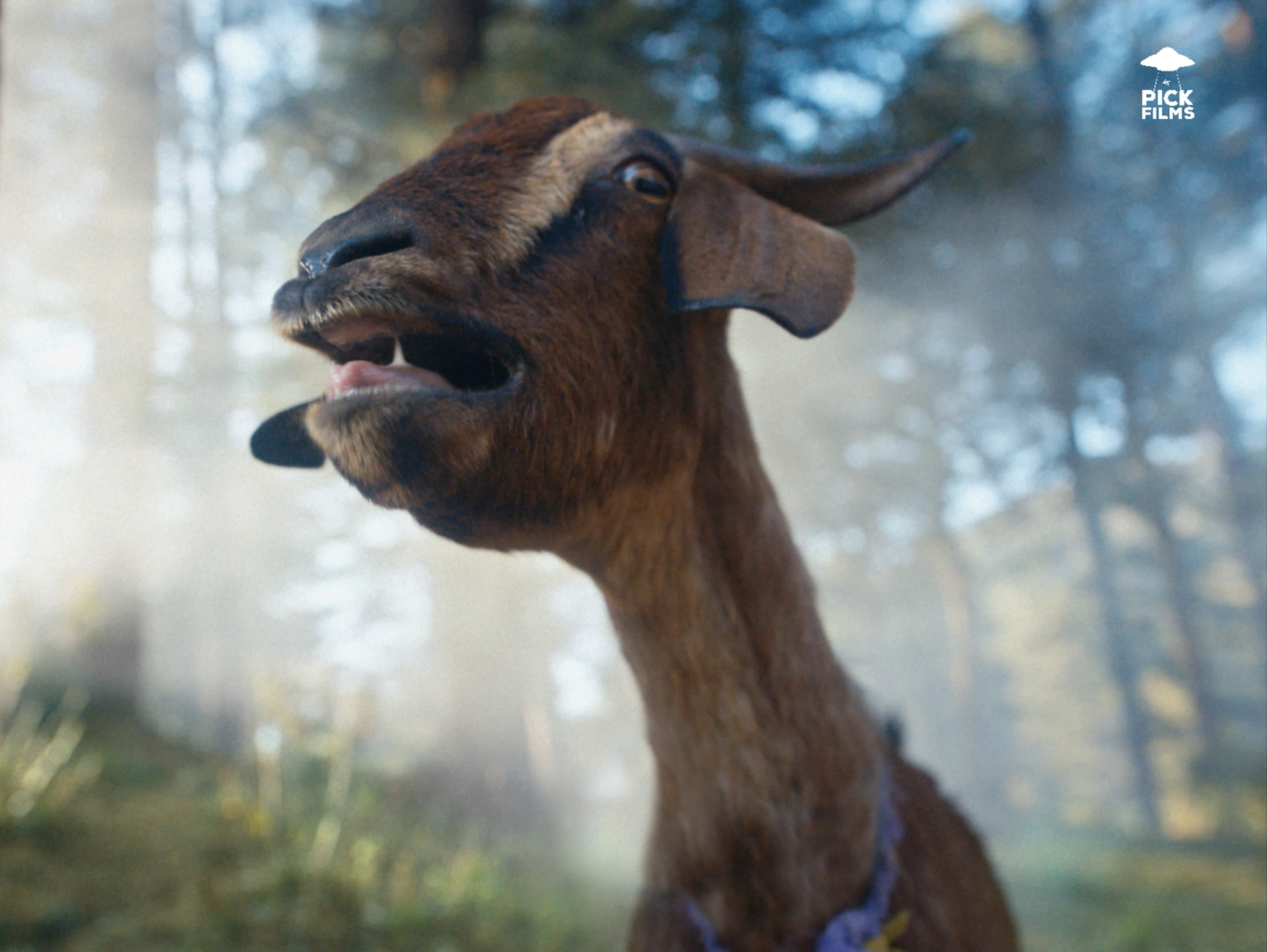 Screenshot 2024-09-24 at 11.08.12 PM.png