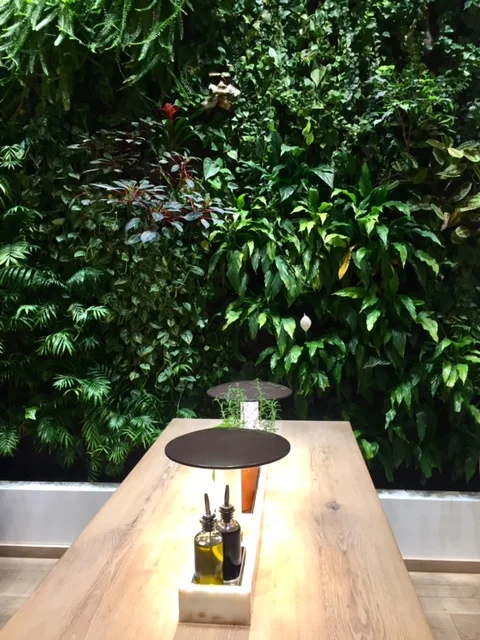 Restaurant Vapiano Champs-Elysées