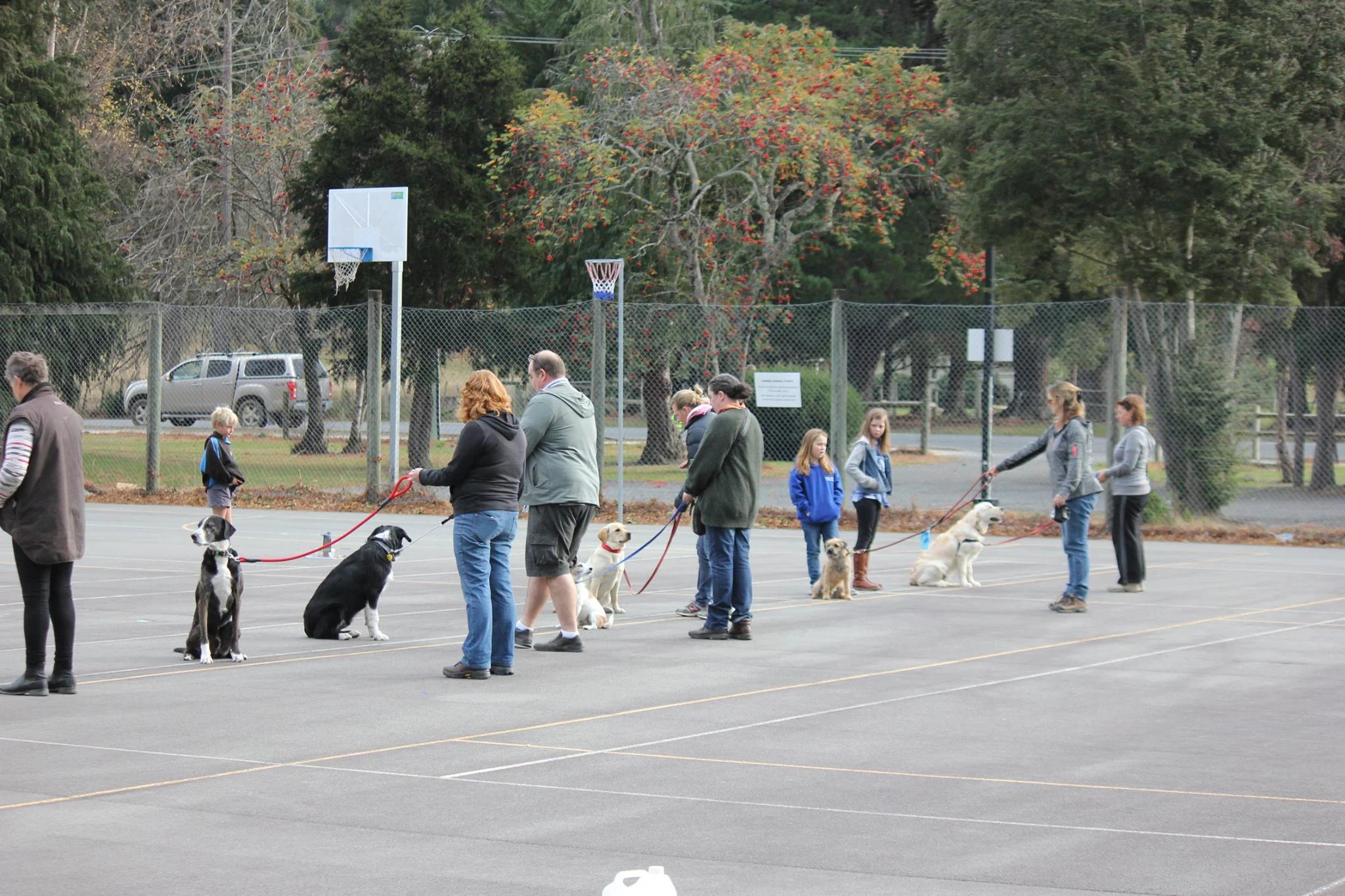 Group Dog Obedience Classes