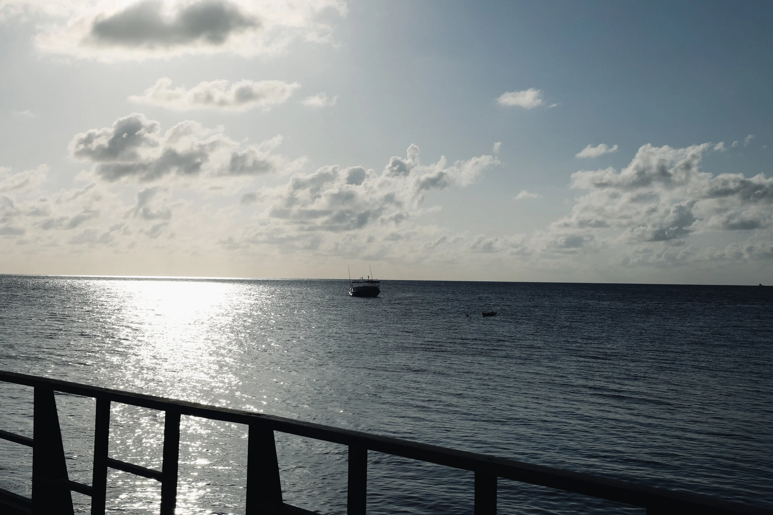 6J4A7836.jpg