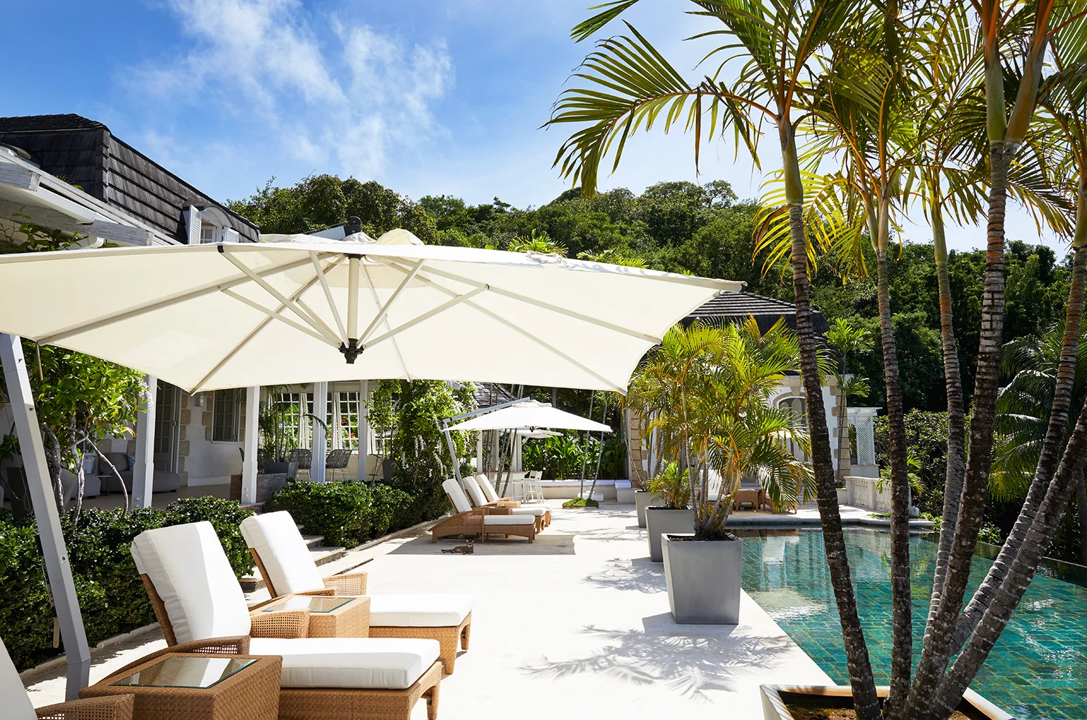 untitled folder_0336 copy.jpg