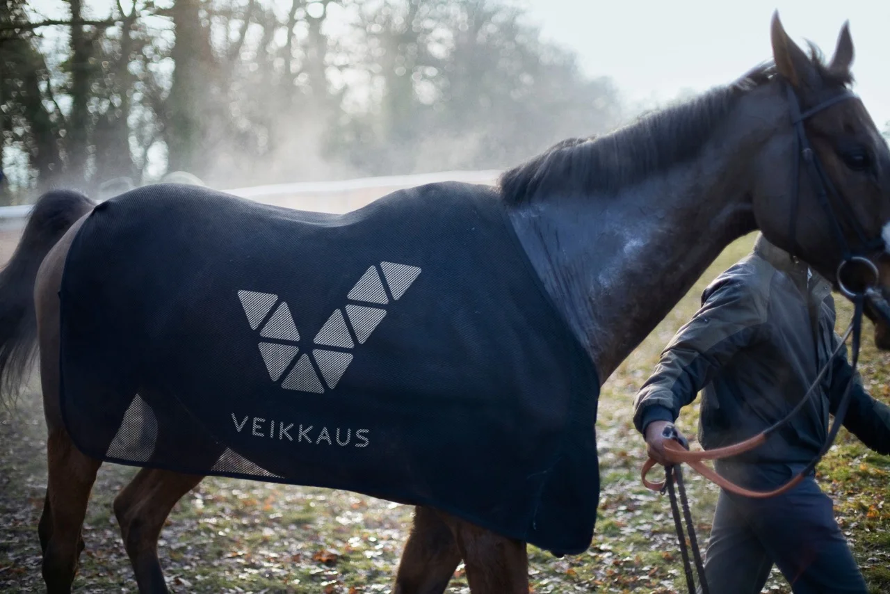 Veikkaus_horse.jpeg